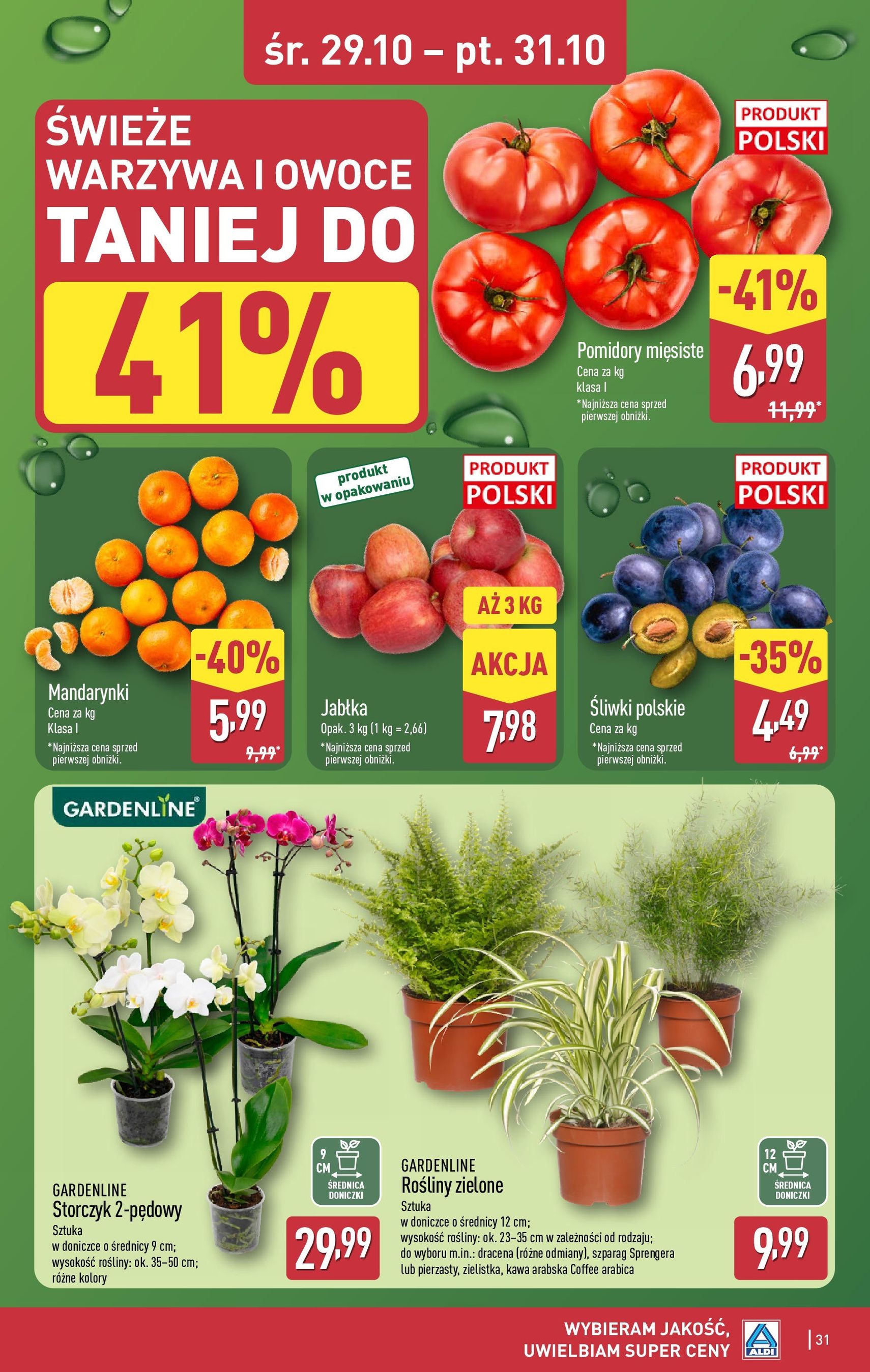 Aldi Gazetka - ważny gazetka od 27.10.2025 strona 31 z 38