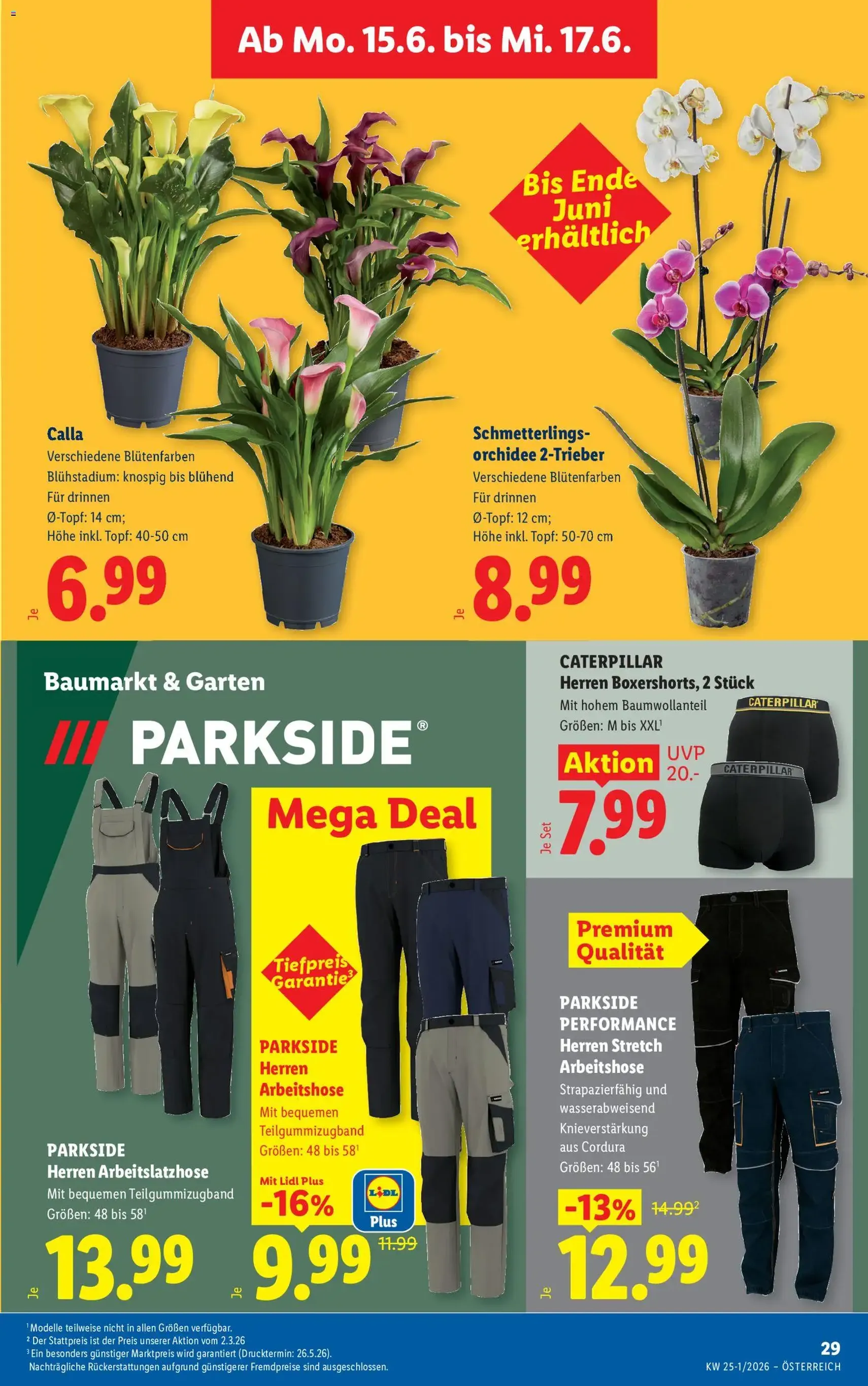Lidl Flugblatt - Gültiger Prospekt ab 11.06.2026, Seite 36 von insgesamt 58