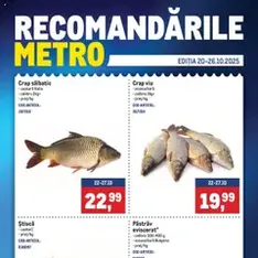 Catalog Metro - previzualizare cataloage valabilă începând cu 20.10.2025