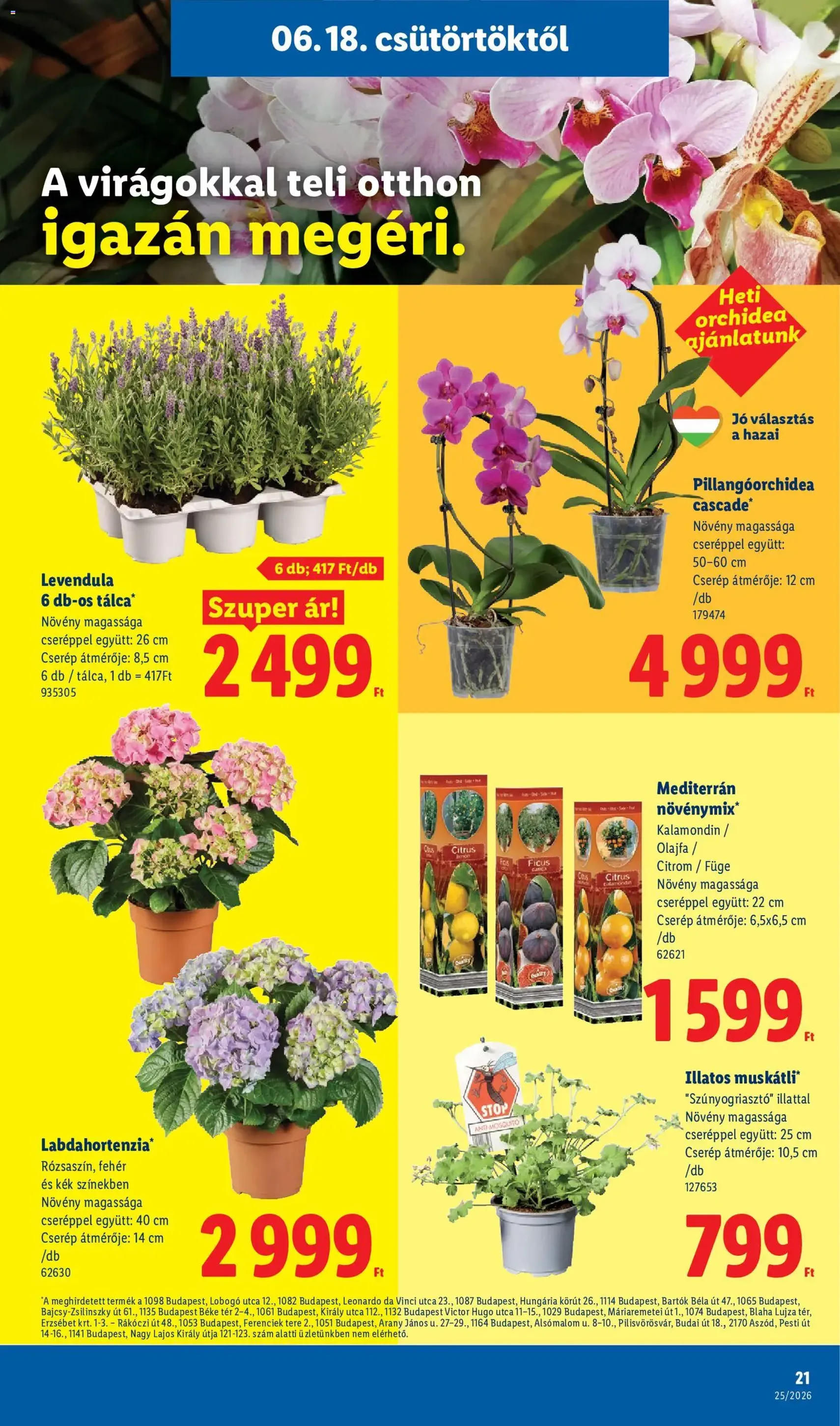 Lidl akciós újság - 2026.06.18. érvényes szórólap 21 oldal 78 oldalból