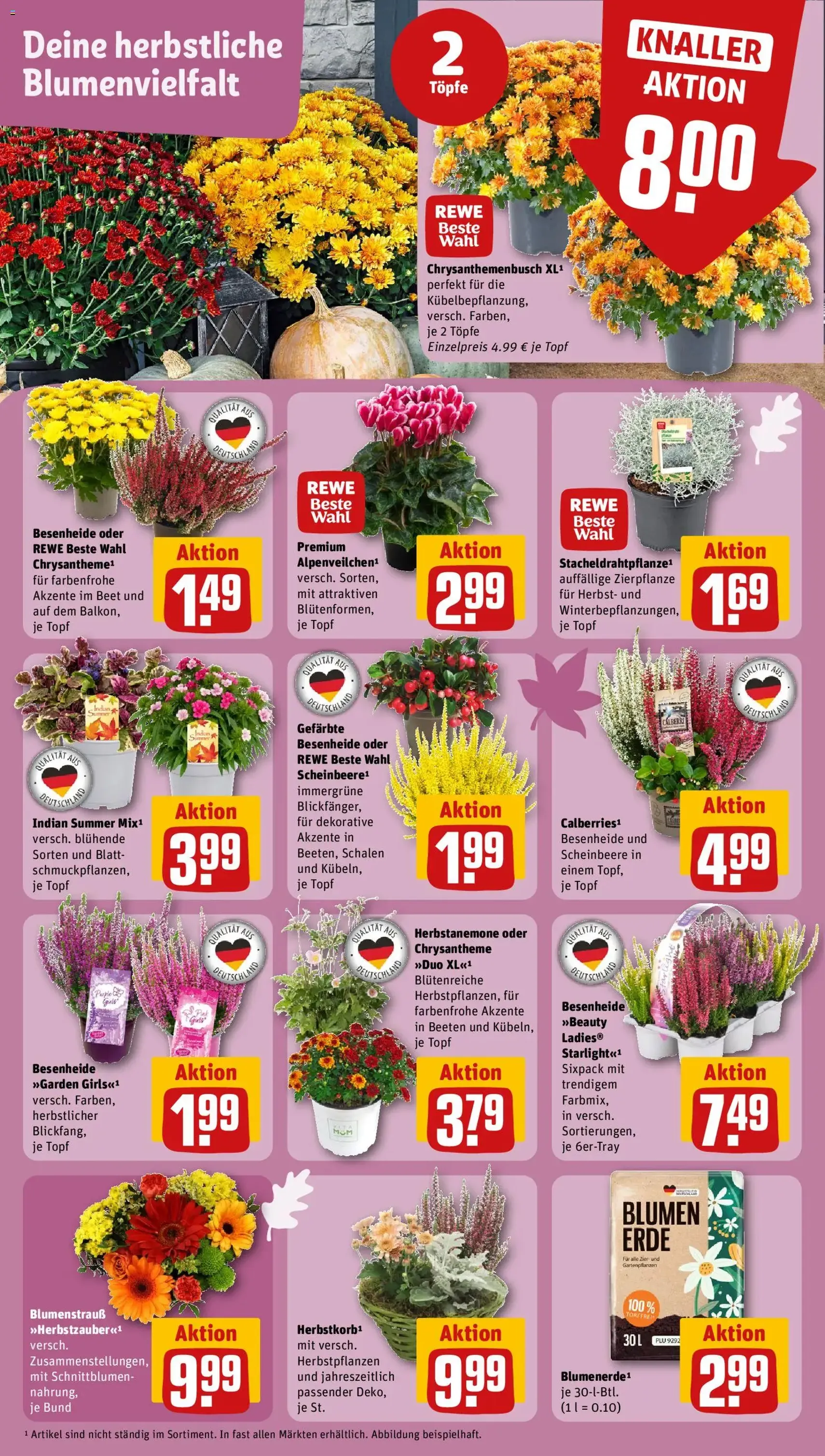 Rewe Prospekt - Gültiger Prospekt ab 14.09.2026, Seite 5 von insgesamt 31