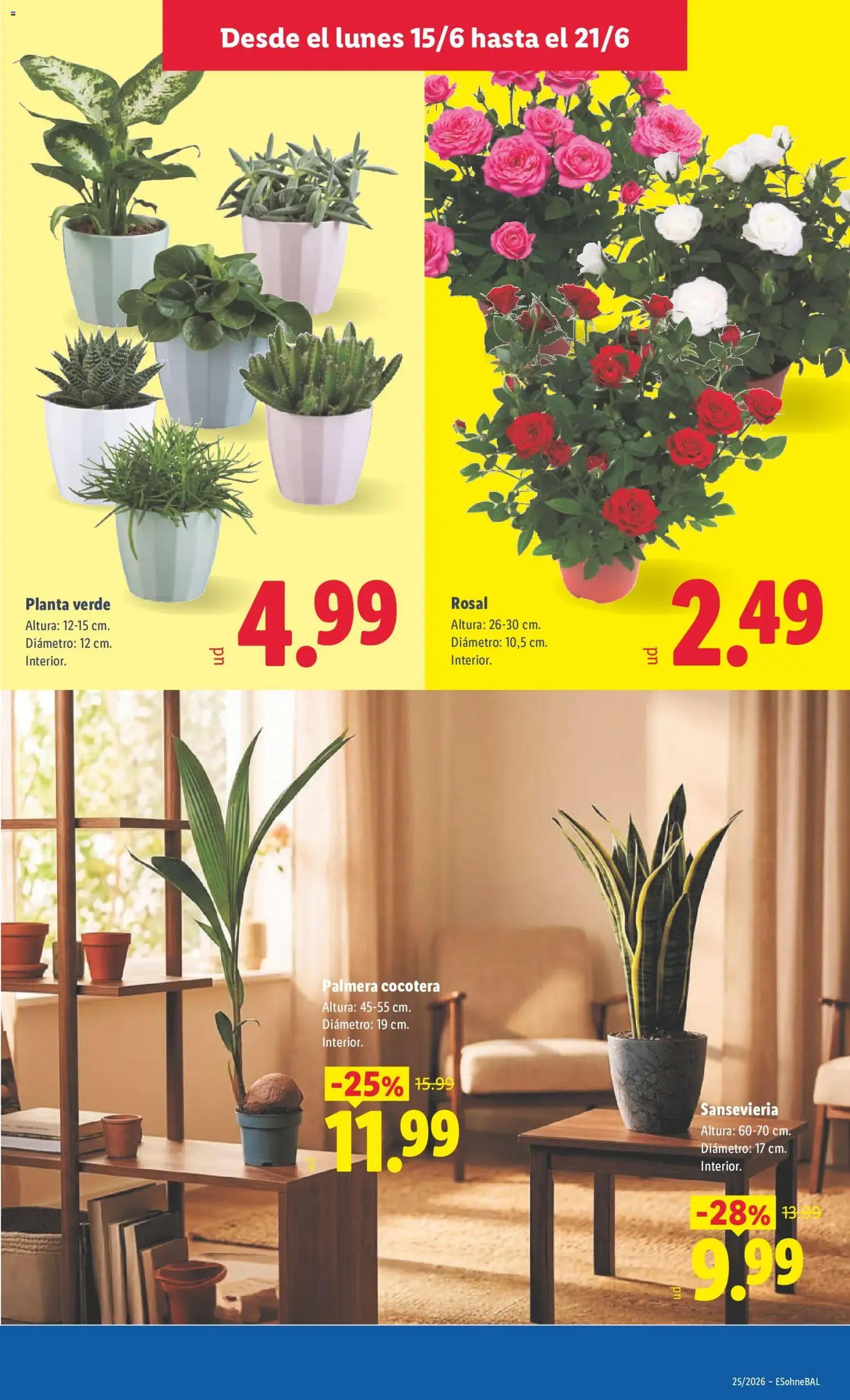 Lidl folleto - folleto válido desde 15/06/2026 página 65 de 65