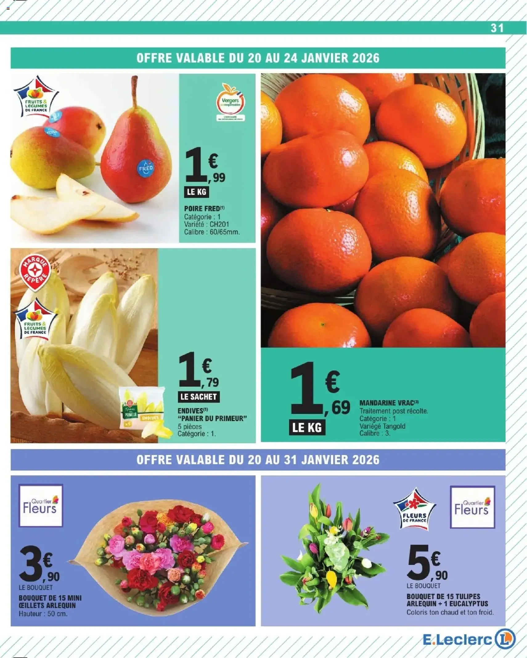 E.Leclerc catalogue semaine 4 - brochure valable à partir du 20/01/2026, page 31 sur 56