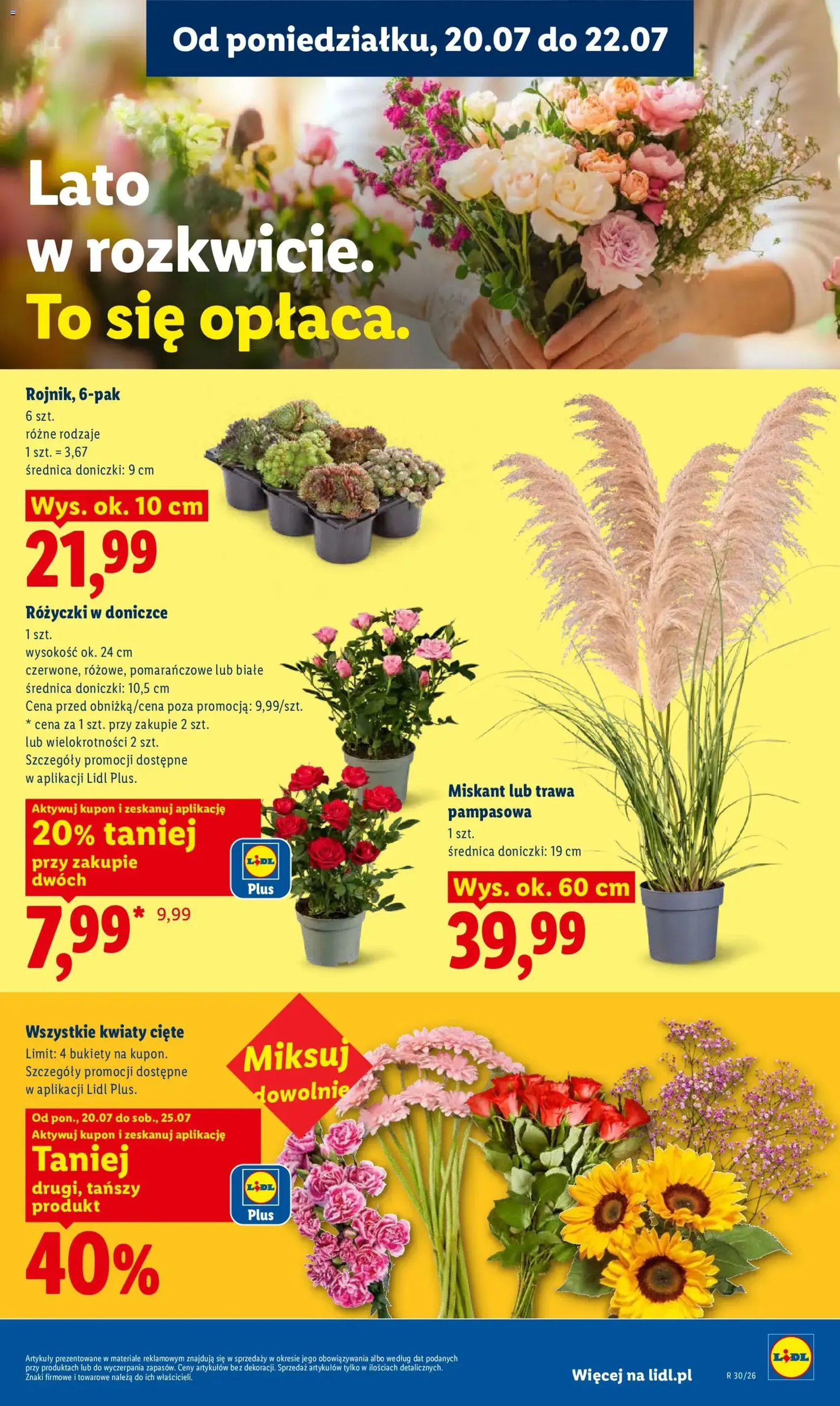 Lidl gazetka - ważny gazetka od 20.07.2026 strona 99 z 102