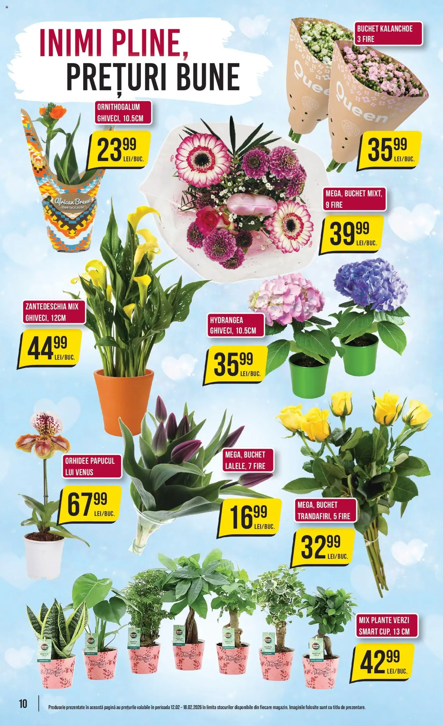 Catalog Mega Image - cataloage valabile începând cu 12.02.2026 pagina 10 din 24