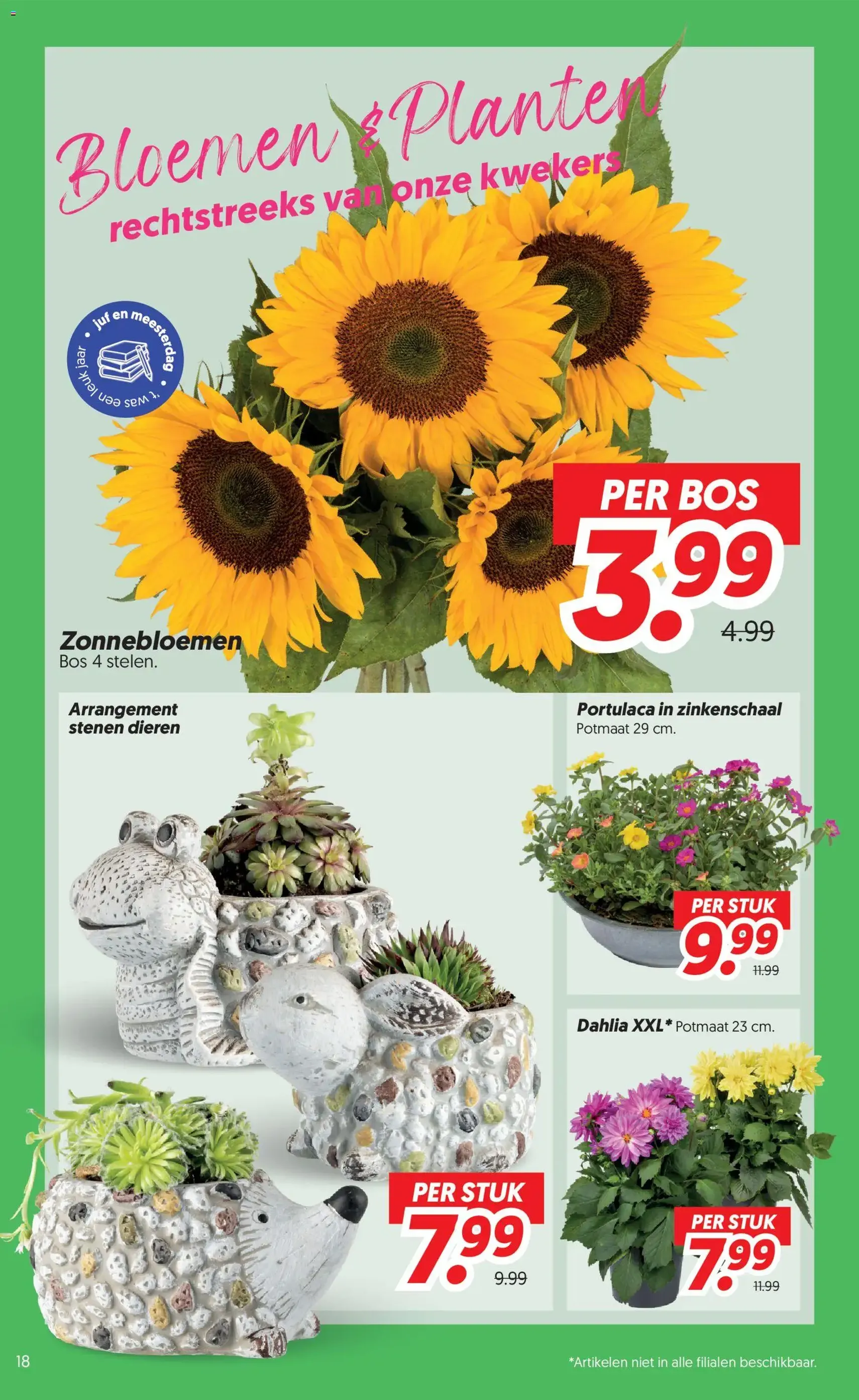 Dekamarkt folder - geldige folder vanaf 23-06-2026 pagina 18 van 22