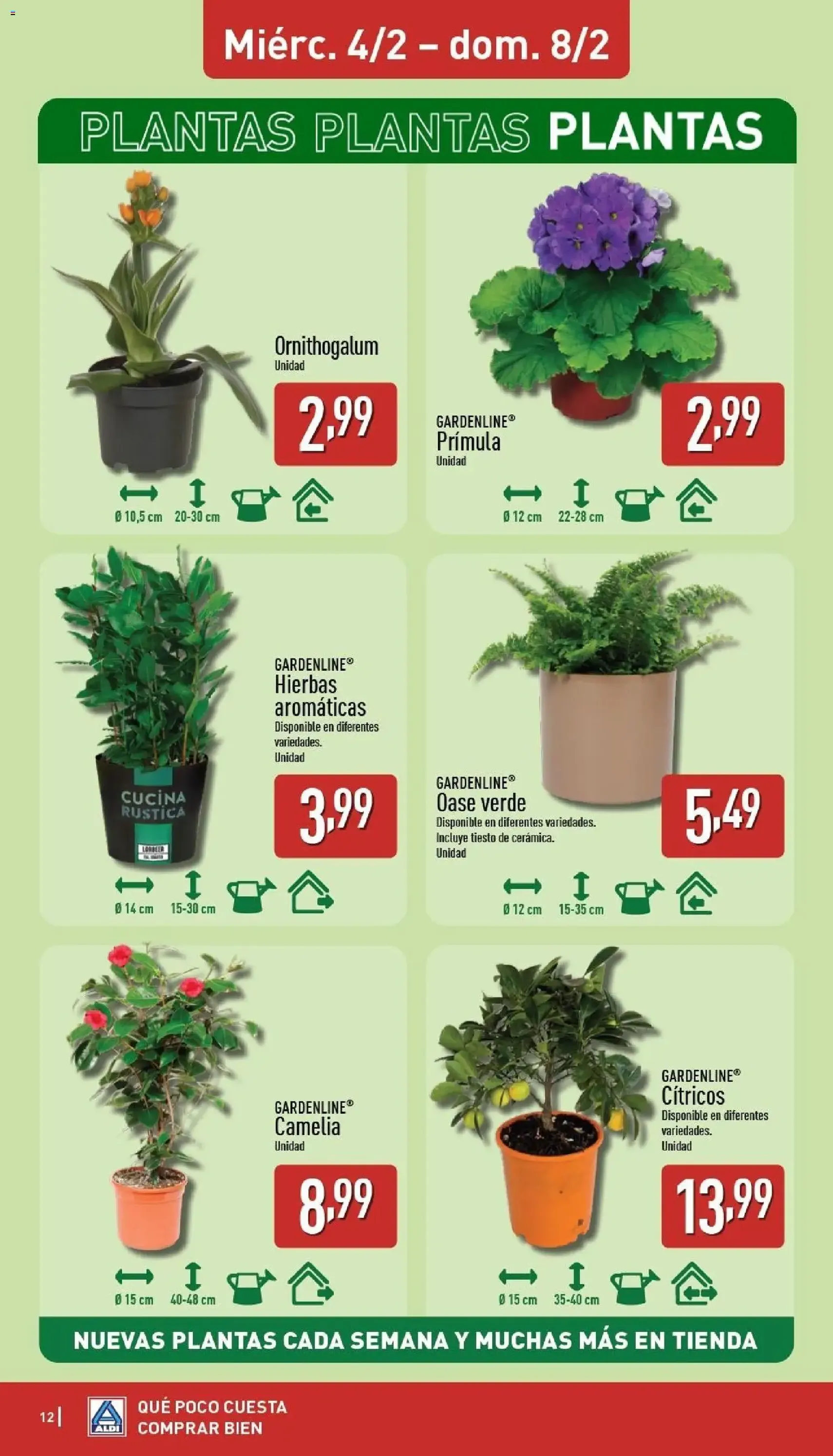 Aldi folleto Península - folleto válido desde 02/02/2026 página 12 de 24