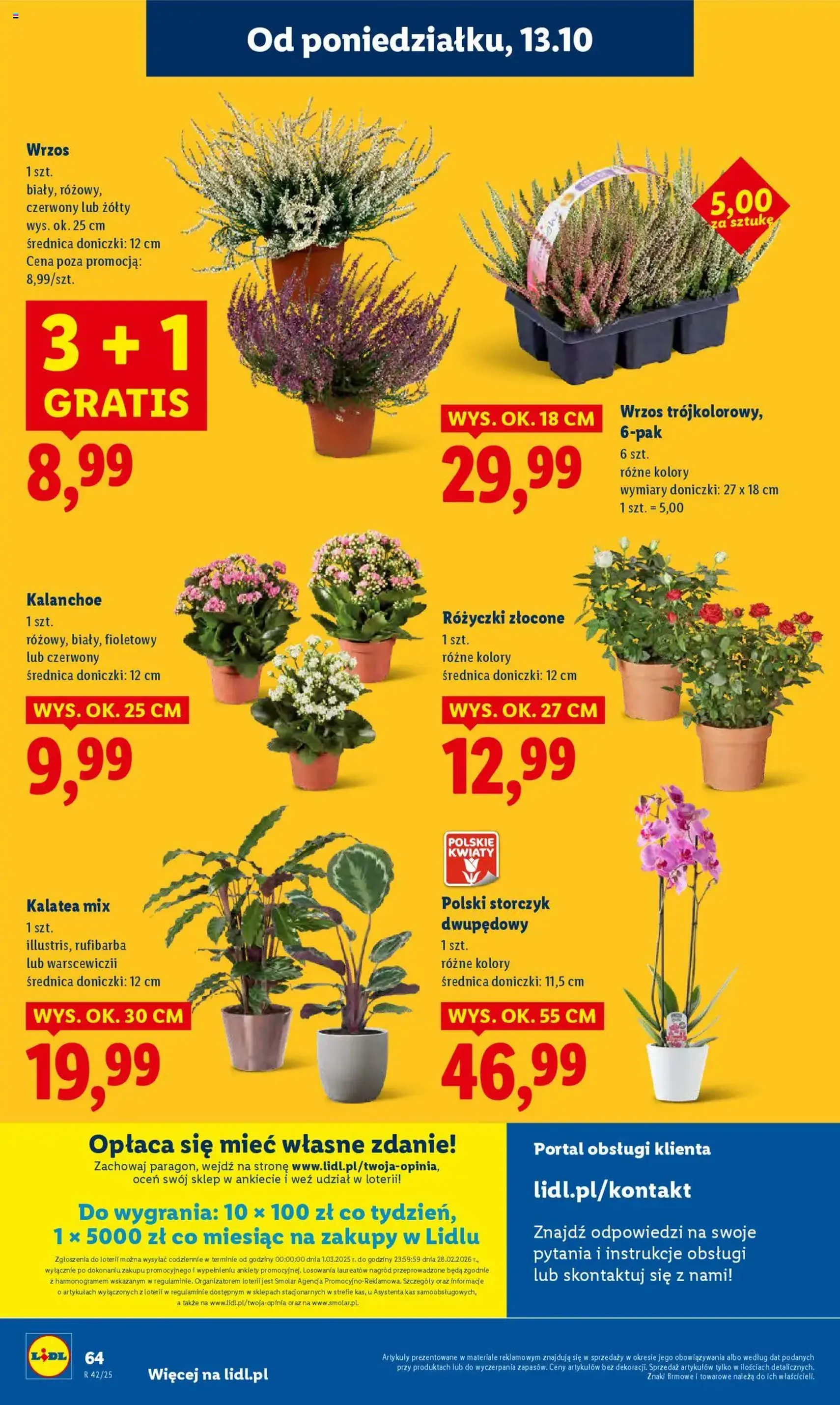Lidl Gazetka - ważny gazetka od 13.10.2025 strona 64 z 73