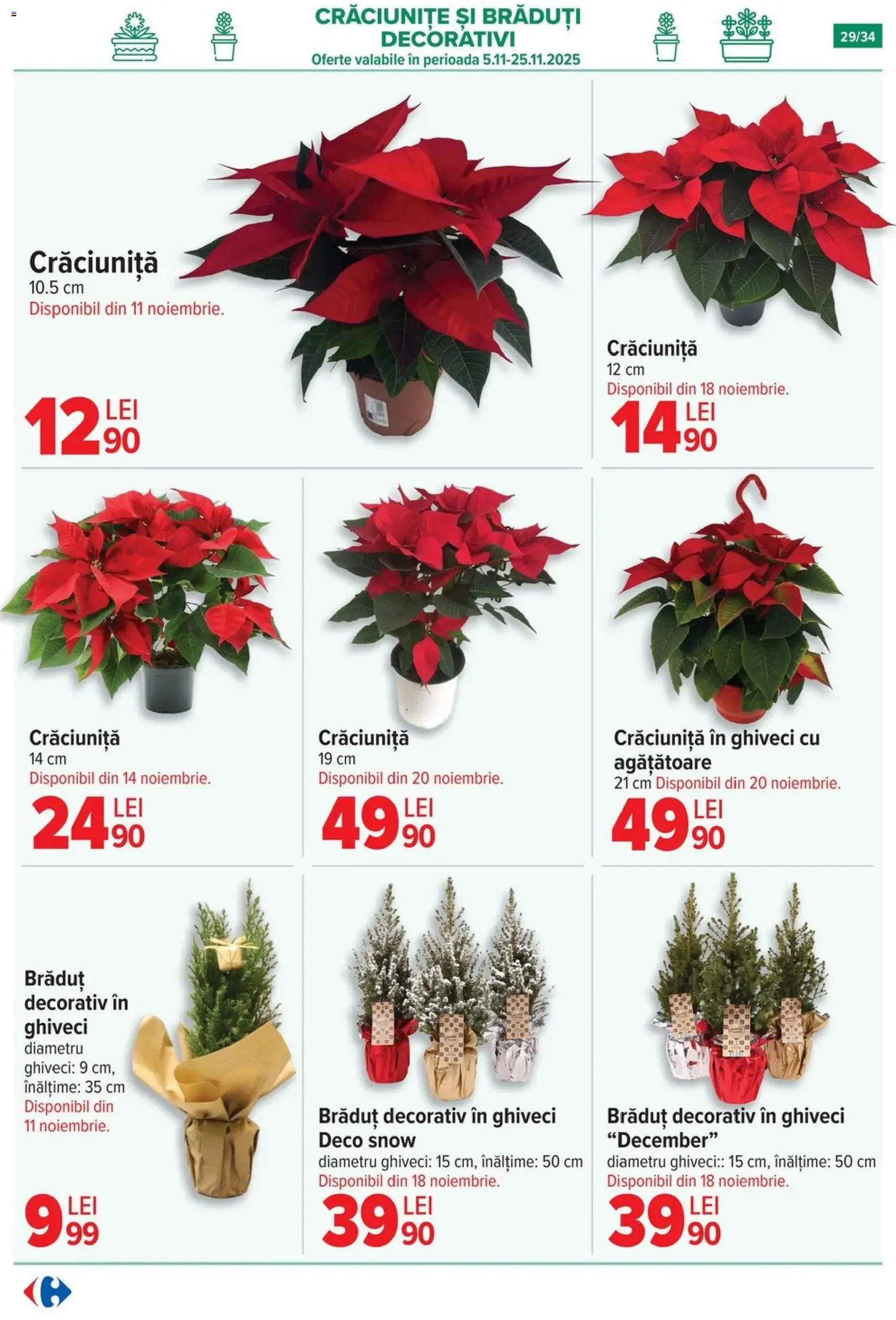 Catalog Carrefour - cataloage valabile începând cu 05.11.2025 pagina 29 din 34