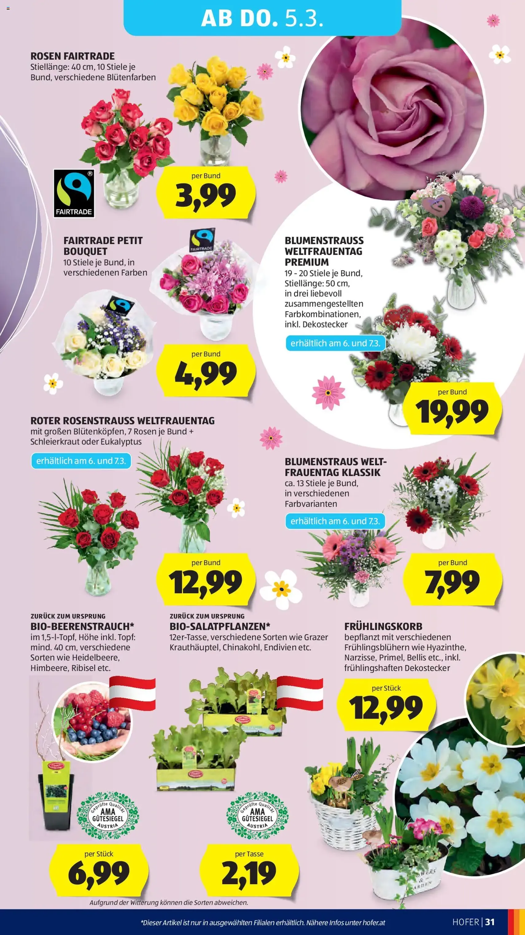 Hofer Flugblatt - Gültiger Prospekt ab 25.02.2026, Seite 35 von insgesamt 41