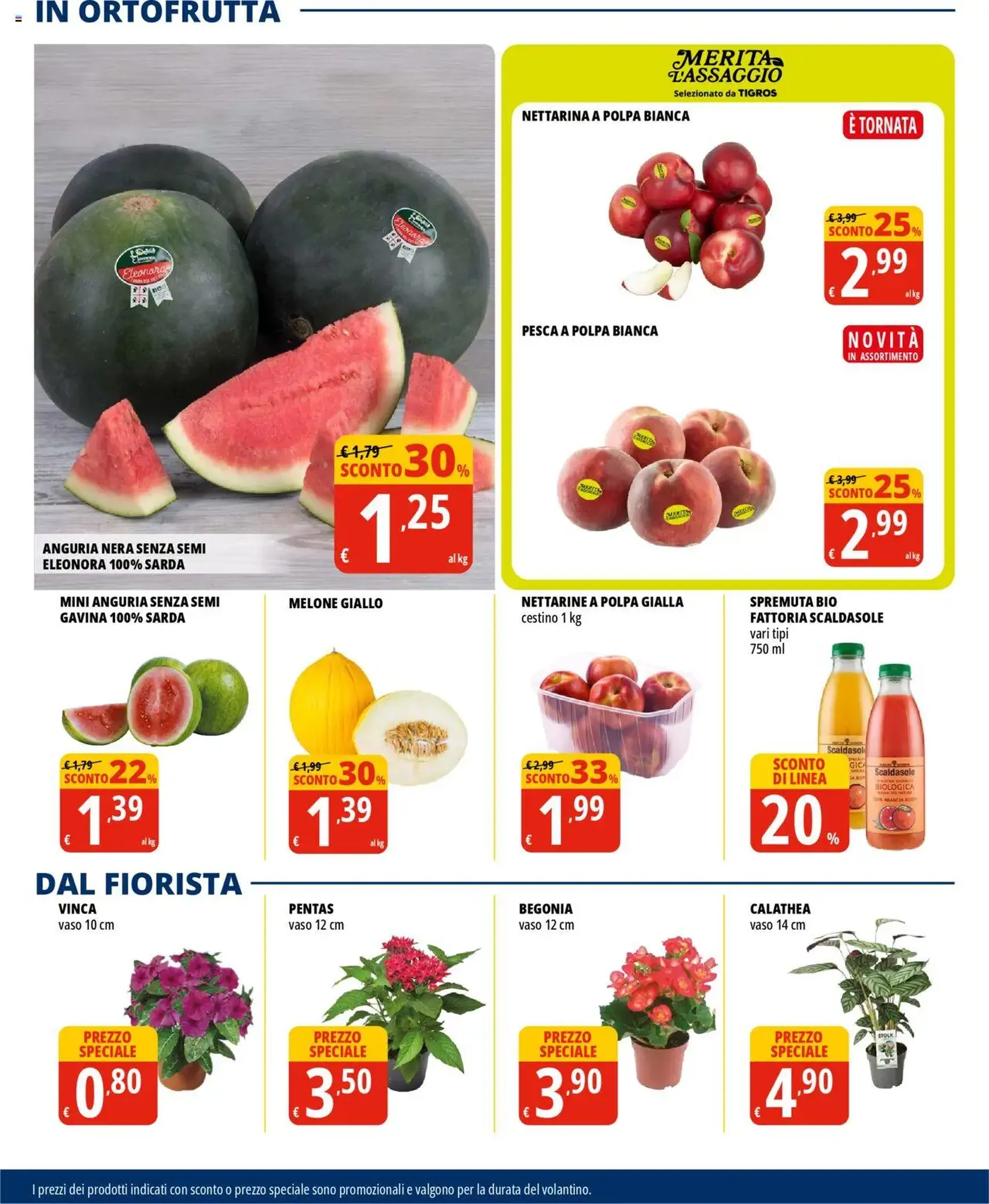 Volantino Tigros - volantino valido dal 01/07/2025 pagina 12 di 32 Volantino Tigros - volantino valido dal 01/07/2025 pagina 12 di 32