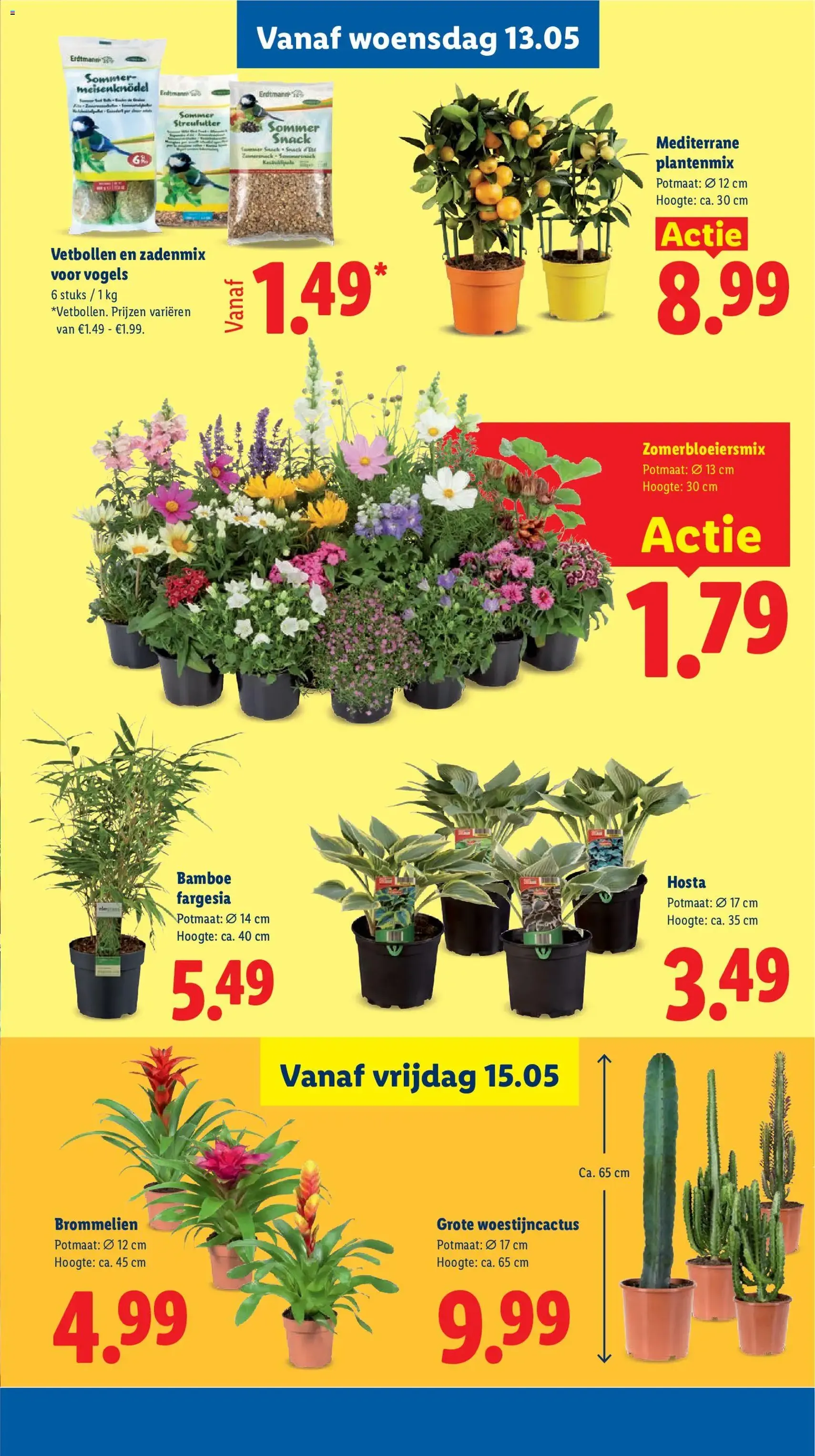 Lidl folder week 20 - geldige folder vanaf 11-05-2026 pagina 31 van 46