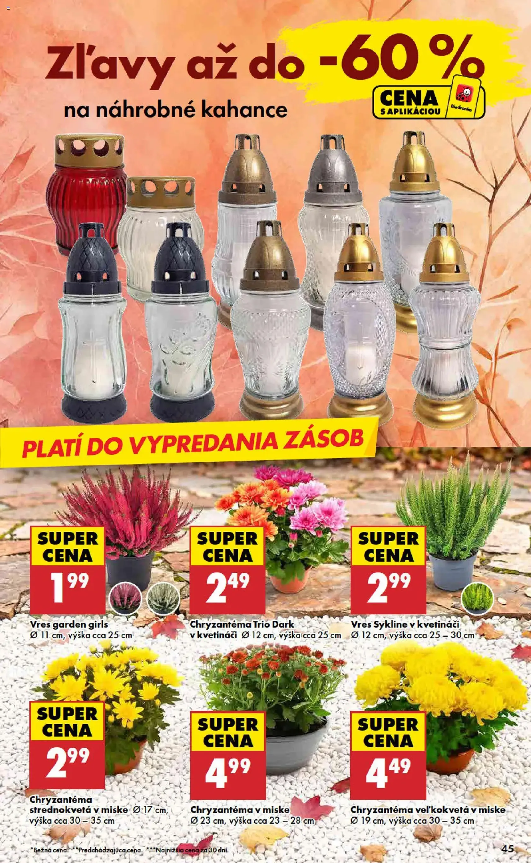 Biedronka leták - platný leták od 29.10.2026 strana 45 z 48