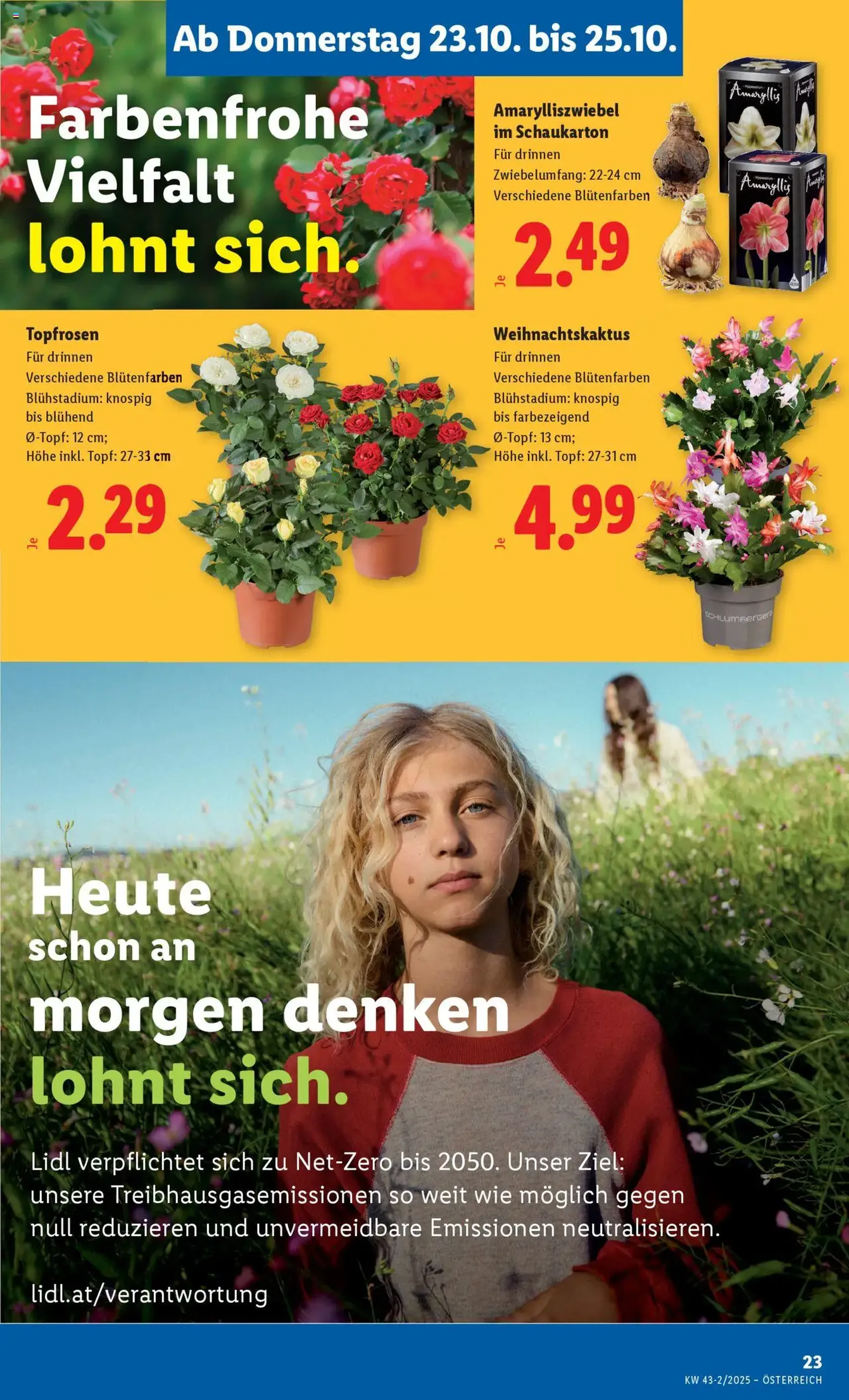 Lidl Flugblatt - Gültiger Prospekt ab 23.10.2025, Seite 29 von insgesamt 48 Lidl Flugblatt - Gültiger Prospekt ab 23.10.2025, Seite 29 von insgesamt 48