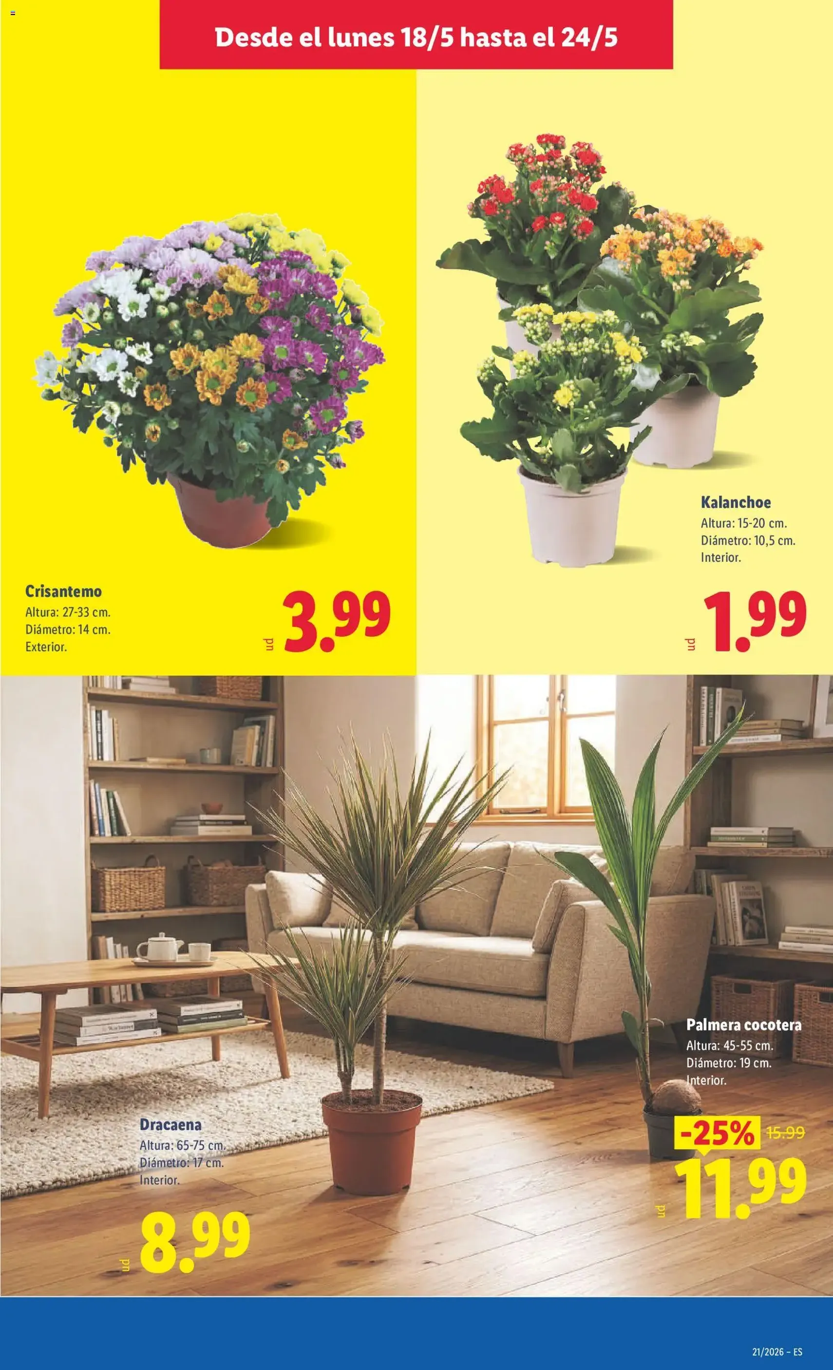 Lidl folleto - folleto válido desde 18/05/2026 página 47 de 47
