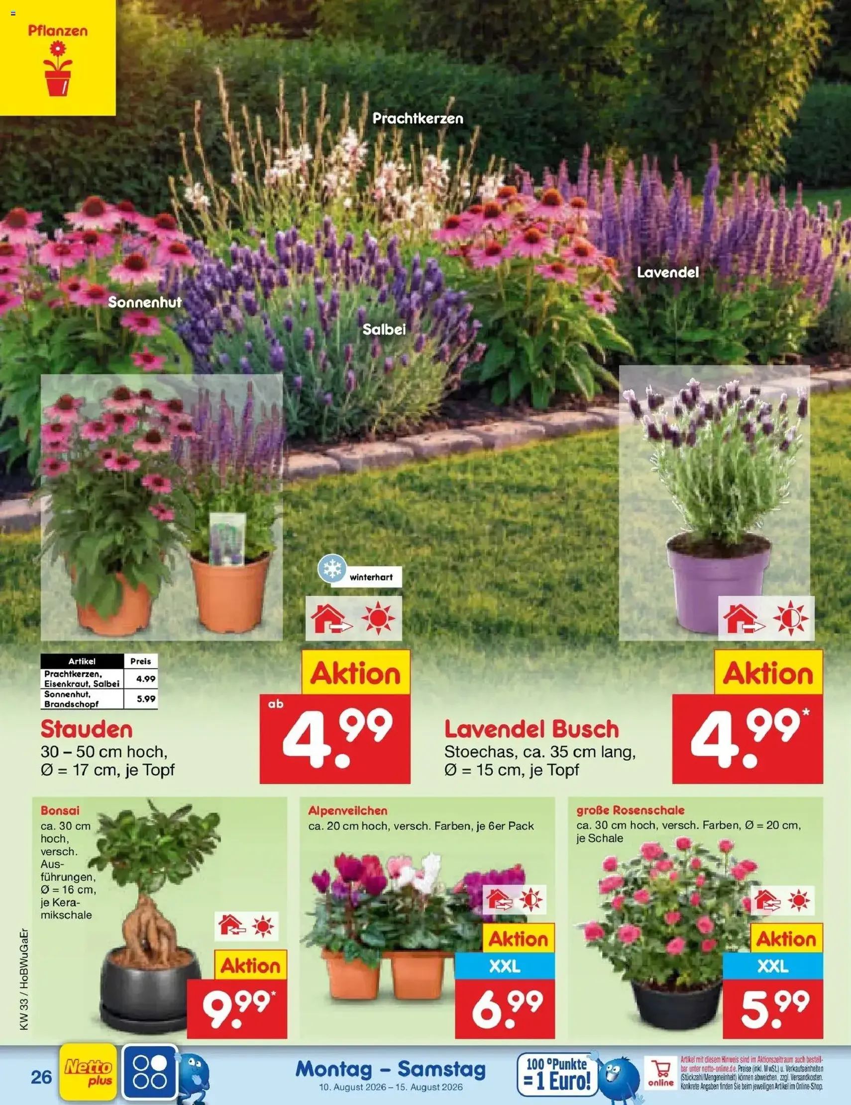 Netto Marken-Discount Prospekt - Gültiger Prospekt ab 10.08.2026, Seite 38 von insgesamt 63