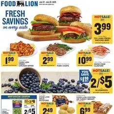 Food Lion Weekly Ad - Flyer preview valid from 07/22/2026