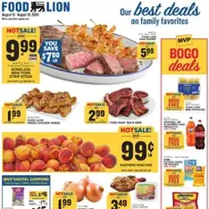 Food Lion Weekly Ad - Flyer preview valid from 08/13/2025