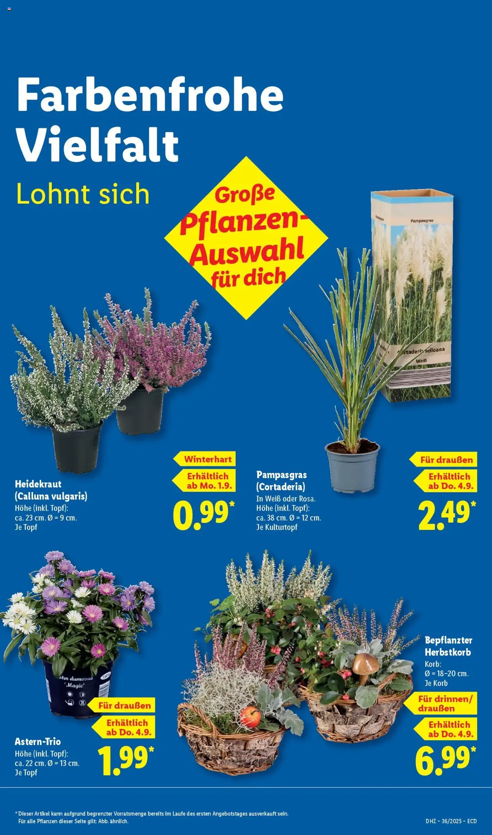 Lidl Prospekt - Gültiger Prospekt ab 01.09.2025, Seite 15 von insgesamt 72 Lidl Prospekt - Gültiger Prospekt ab 01.09.2025, Seite 15 von insgesamt 72