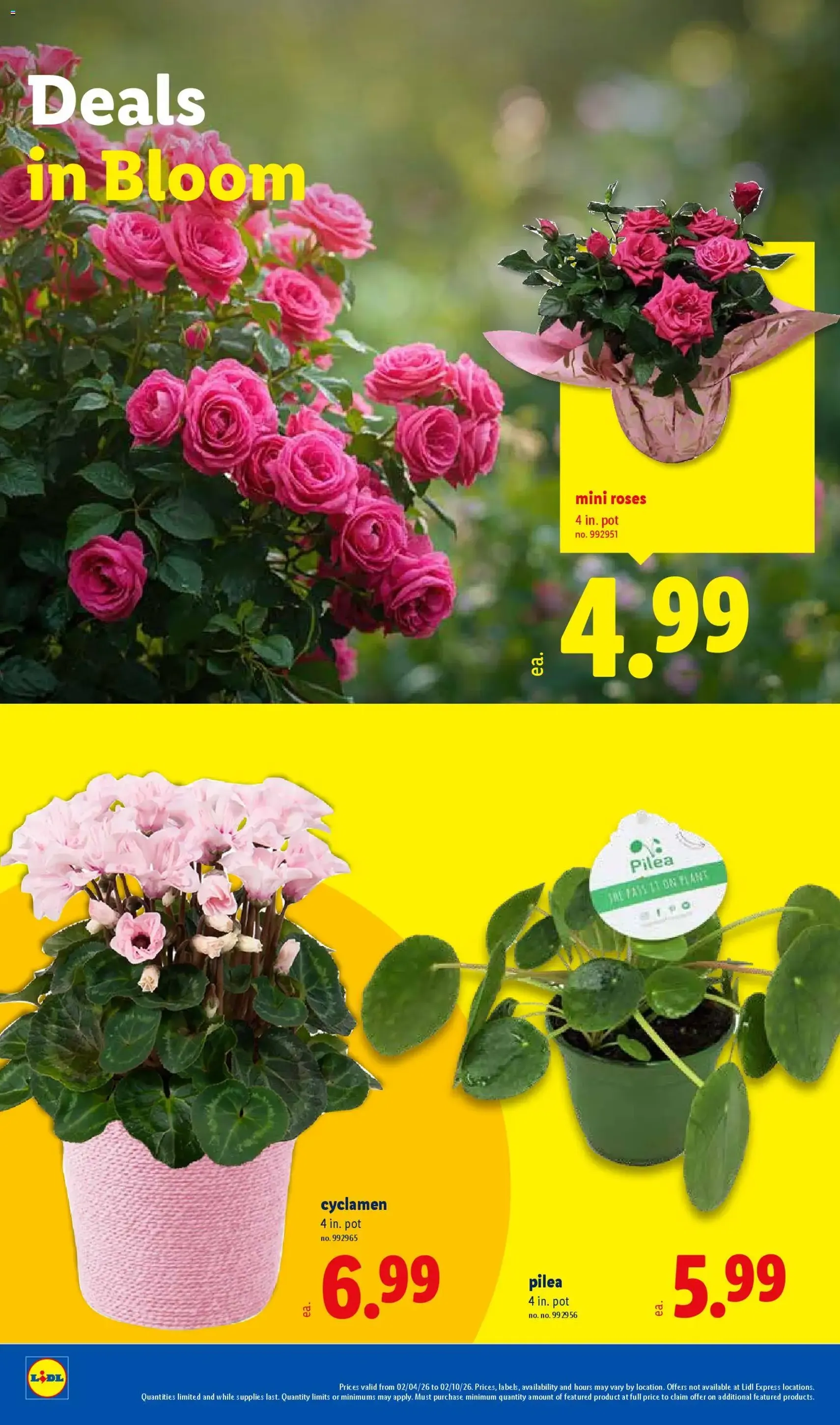 Lidl Weekly Ad - valid flyer from 02/04/2026, page 28 of 38