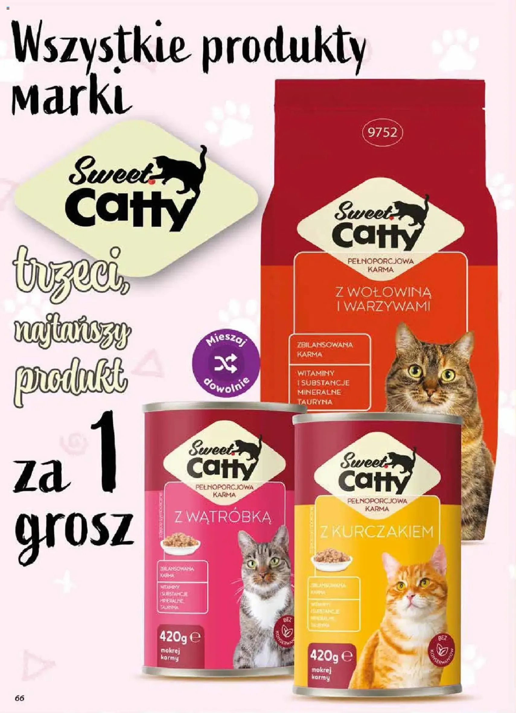 Dino gazetka - ważny gazetka od 03.06.2026 strona 66 z 75