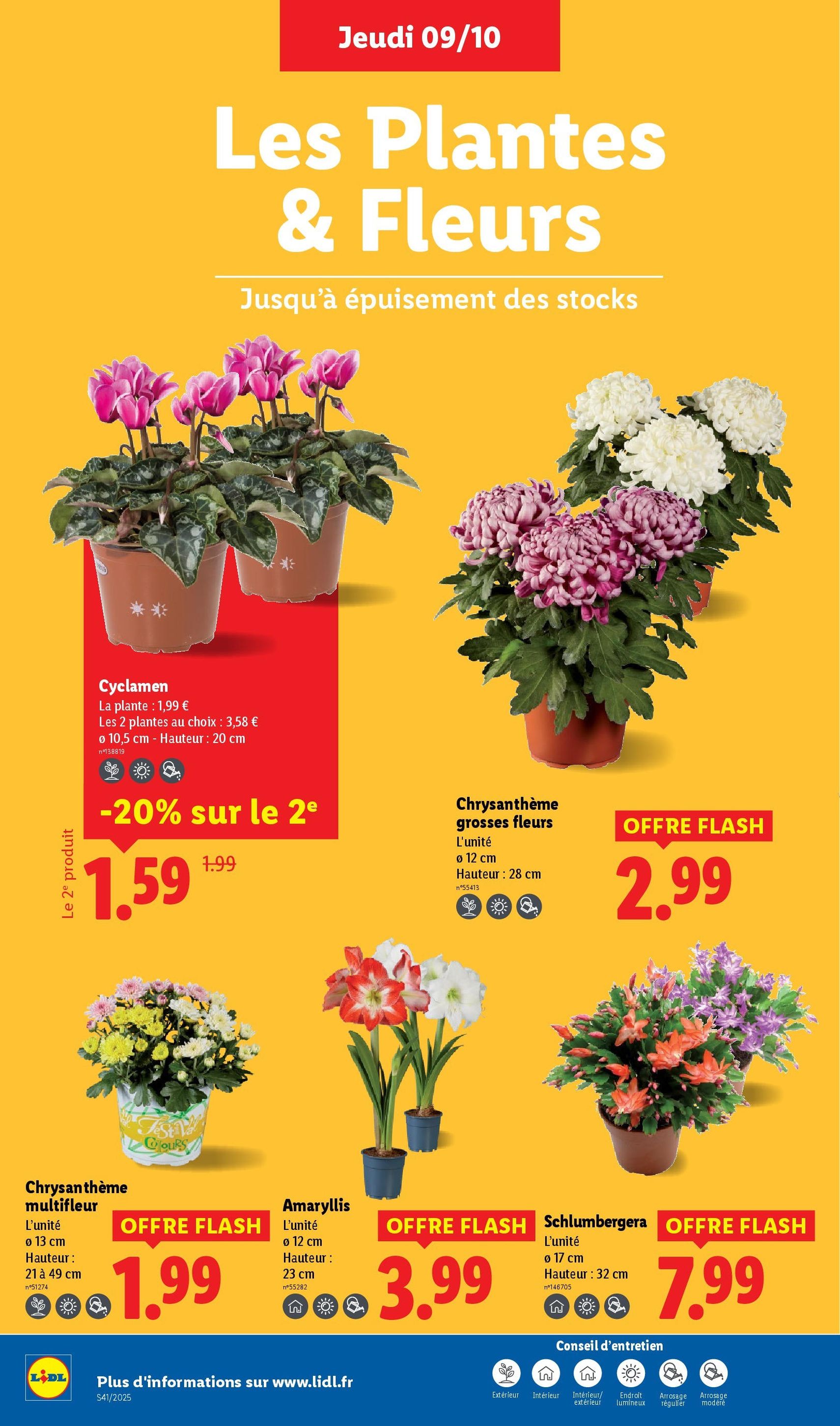 LIDL catalogue semaine 41 - brochure valable à partir du 09/10/2025, page 28 sur 73