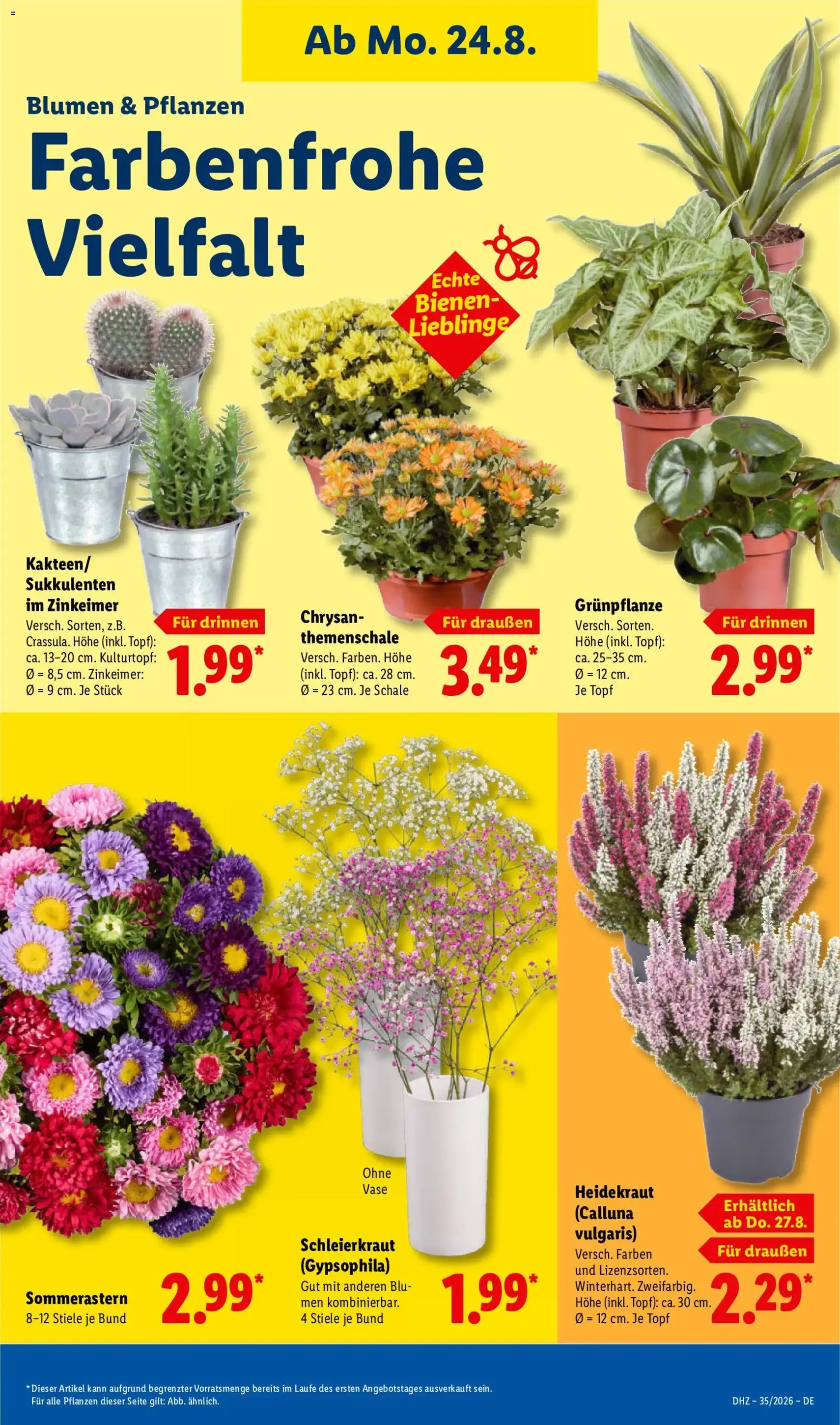 Lidl Prospekt - Gültiger Prospekt ab 24.08.2026, Seite 15 von insgesamt 71