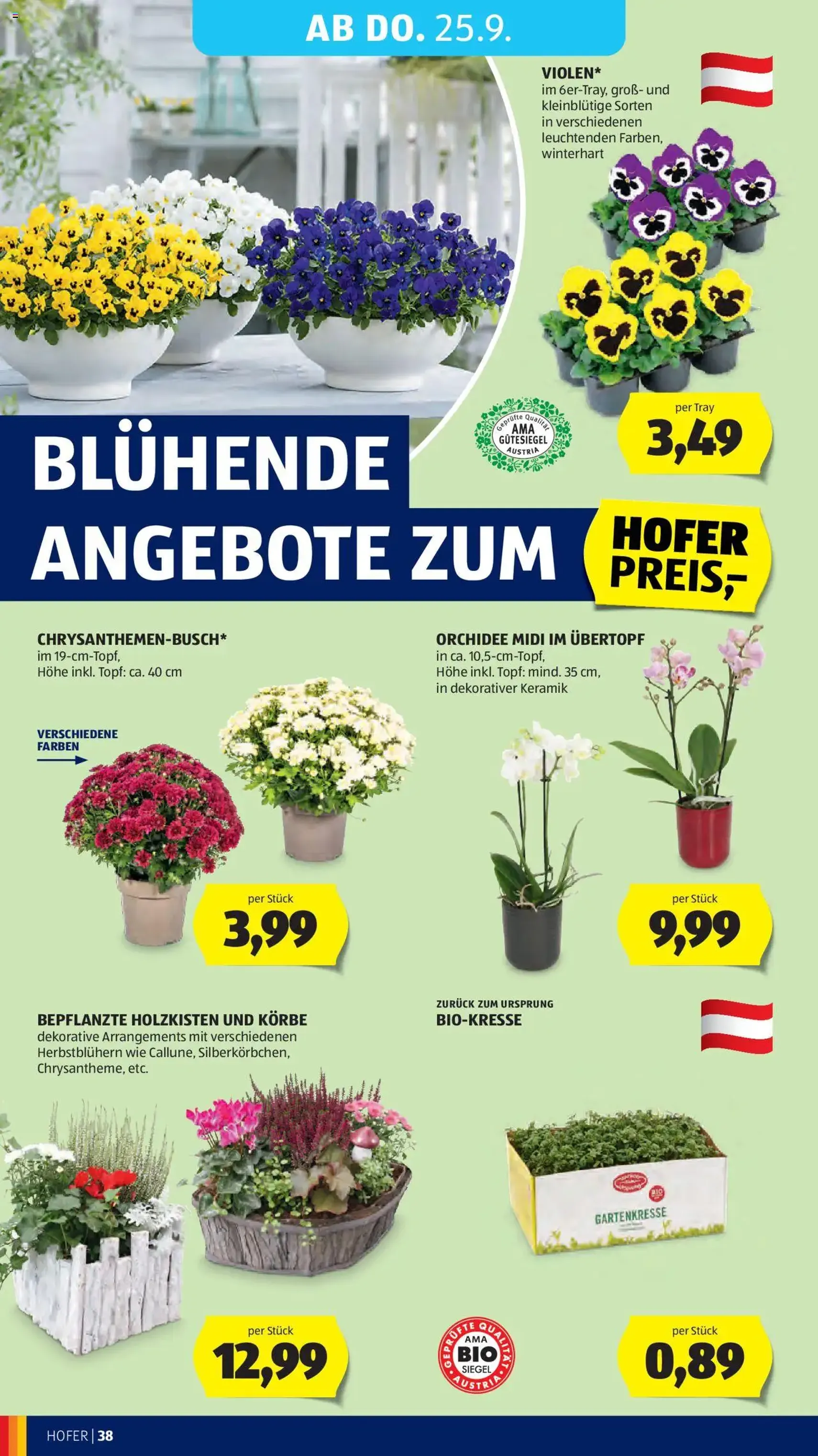 Hofer Flugblatt - Gültiger Prospekt ab 19.09.2025, Seite 42 von insgesamt 49
