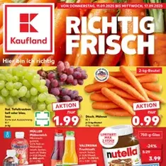 Kaufland Prospekt - Prospekt Vorschau gültig ab 11.09.2025