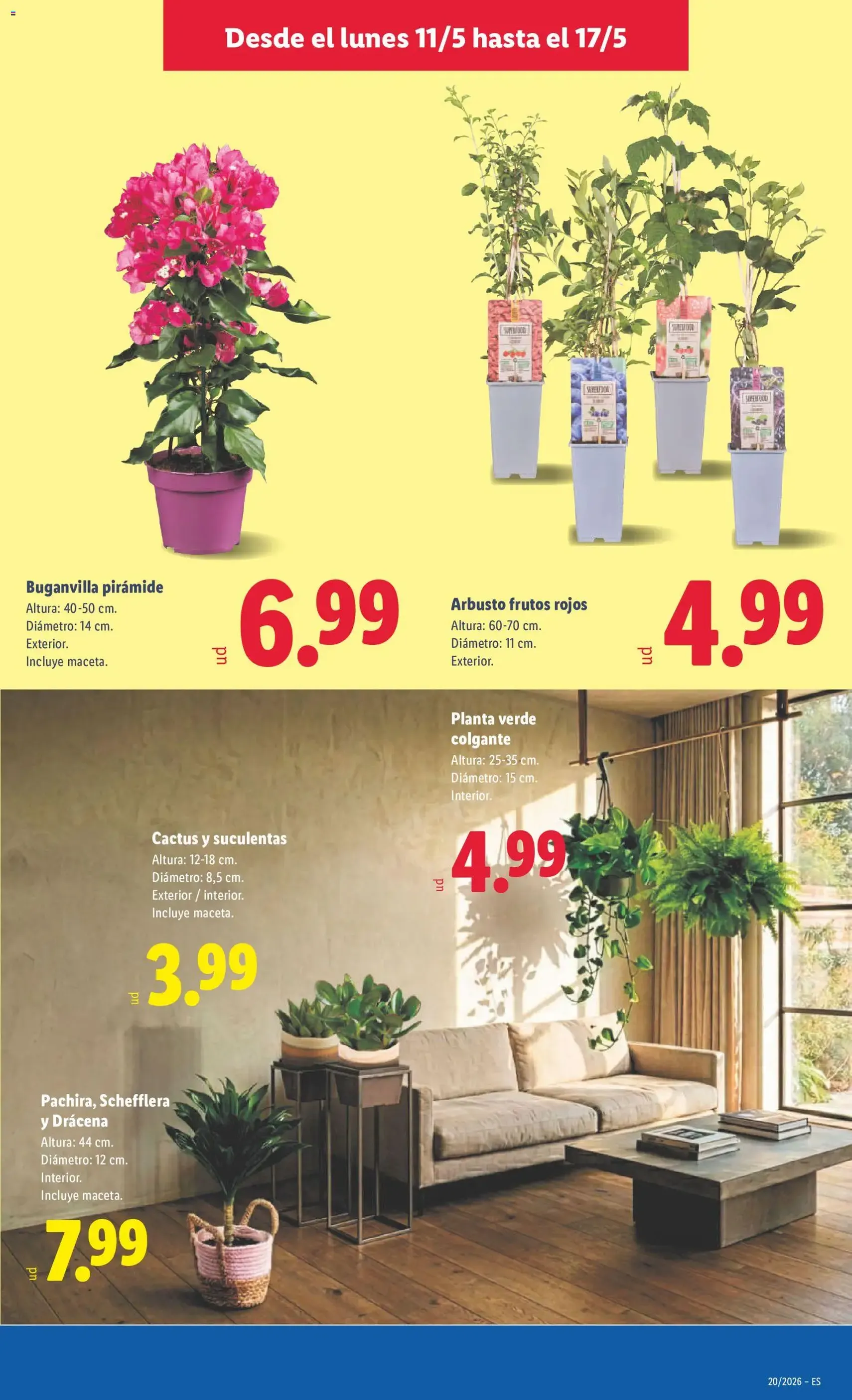 Lidl folleto - folleto válido desde 11/05/2026 página 41 de 43