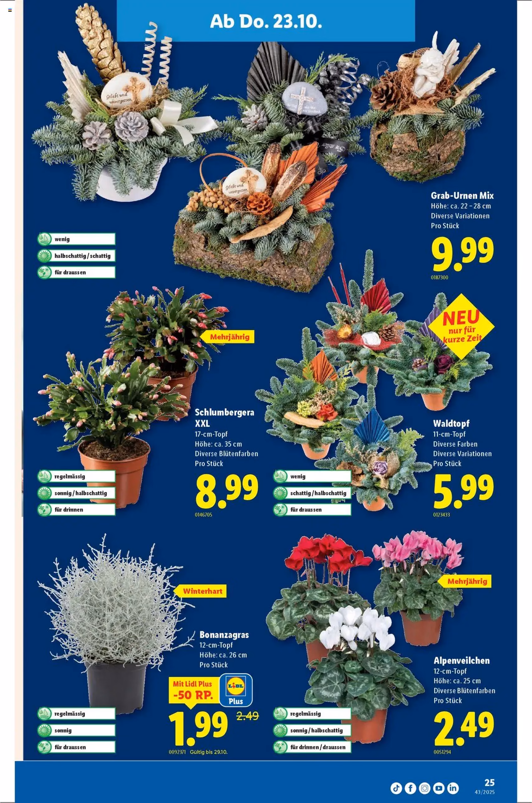 Lidl Aktionen - Gültiger Prospekt ab 23.10.2025, Seite 25 von insgesamt 32