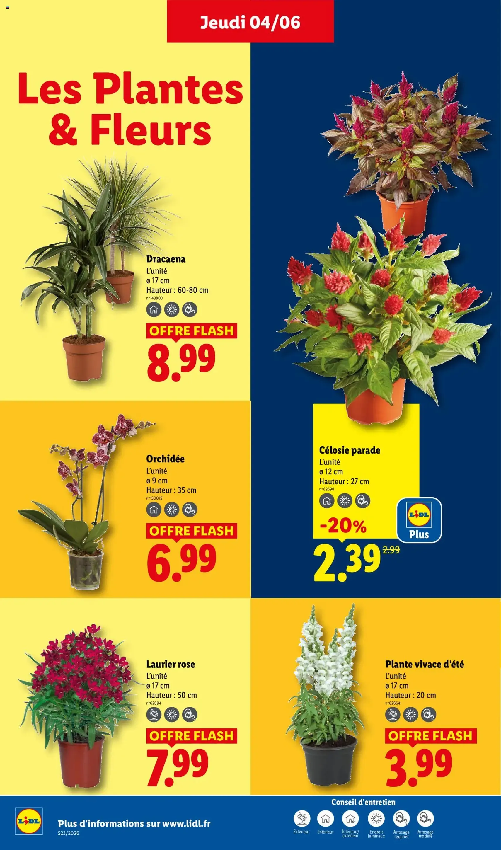 LIDL catalogue - brochure valable à partir du 04/06/2026, page 26 sur 60