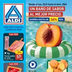 Vista previa del folleto Aldi folleto Península válido desde 22/06/2026