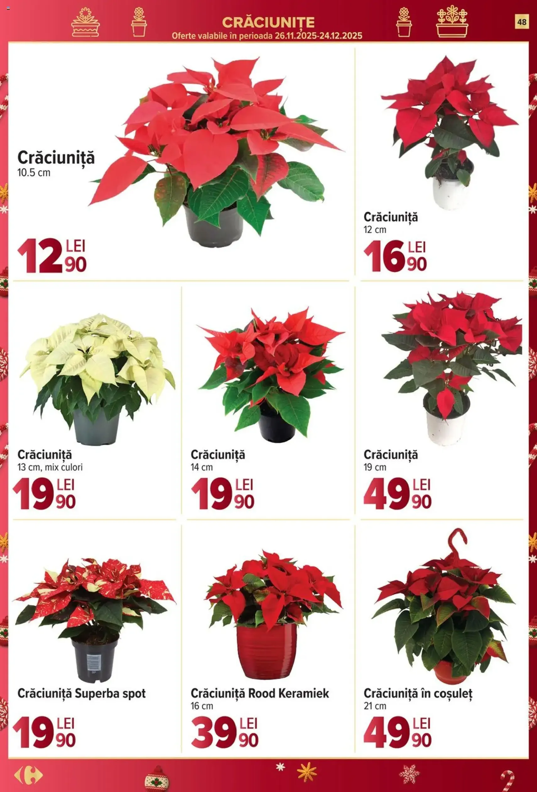 Catalog Carrefour - cataloage valabile începând cu 17.12.2025 pagina 48 din 72