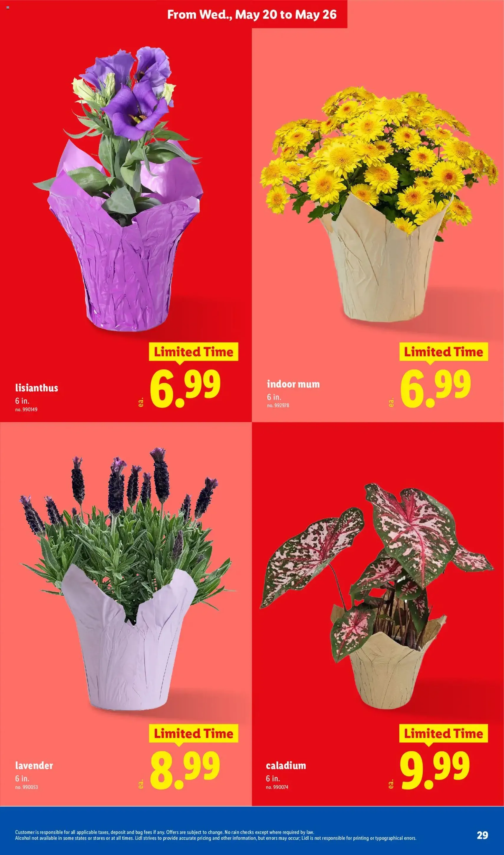 Lidl Weekly Ad - valid flyer from 05/20/2026, page 29 of 38