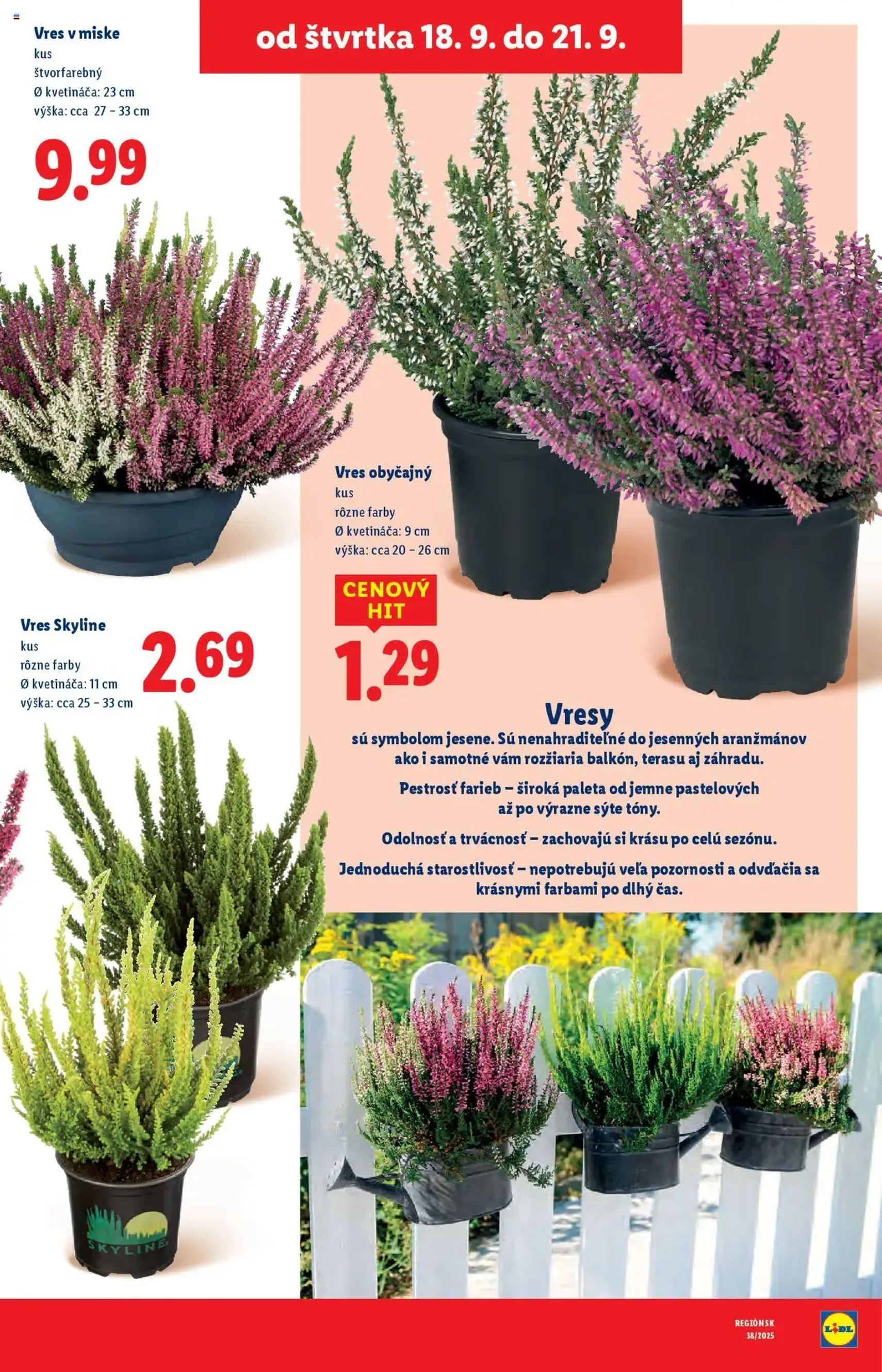 Lidl leták - platný leták od 16.09.2025 strana 89 z 111 Lidl leták - platný leták od 16.09.2025 strana 89 z 111