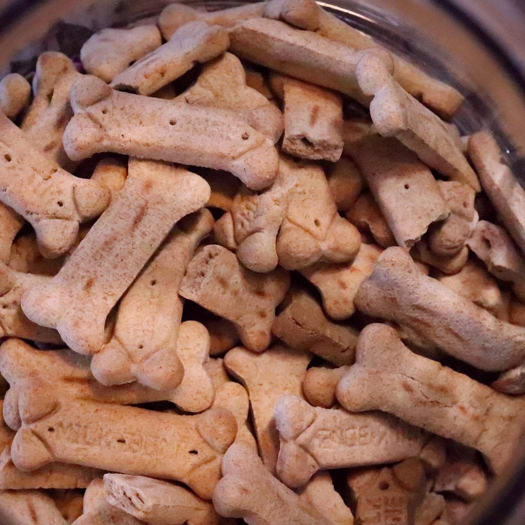 Preparate i vostri biscotti per cani