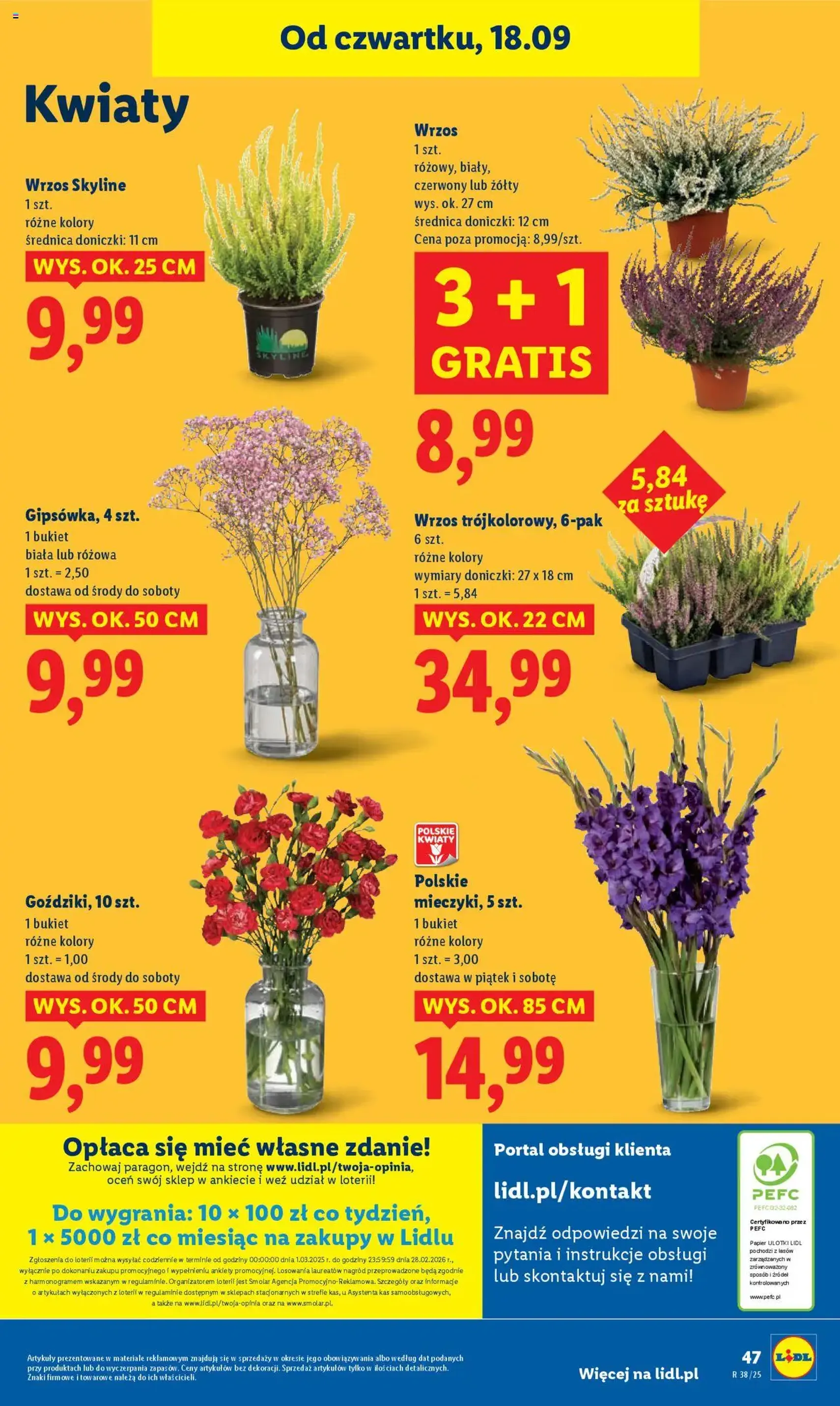 Lidl Gazetka - ważny gazetka od 18.09.2025 strona 55 z 59