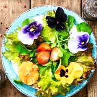 Preview of Spring recipes
