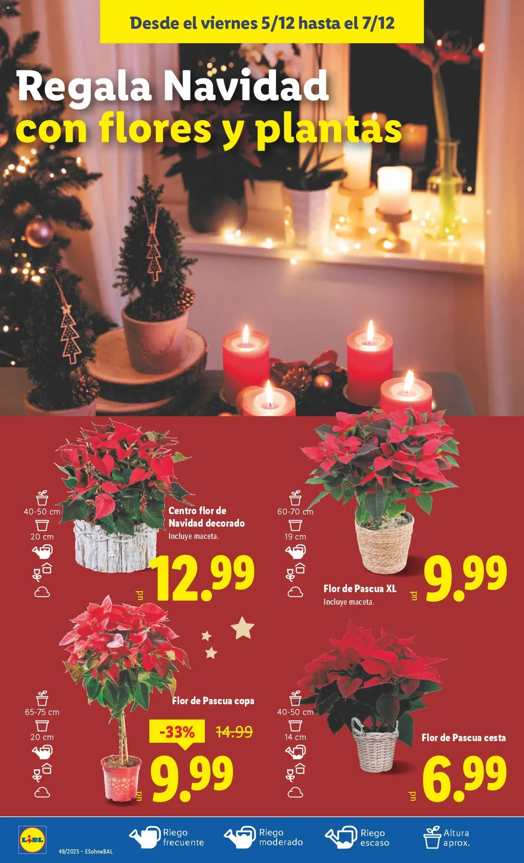 Lidl folleto - folleto válido desde 01/12/2025 página 52 de 53