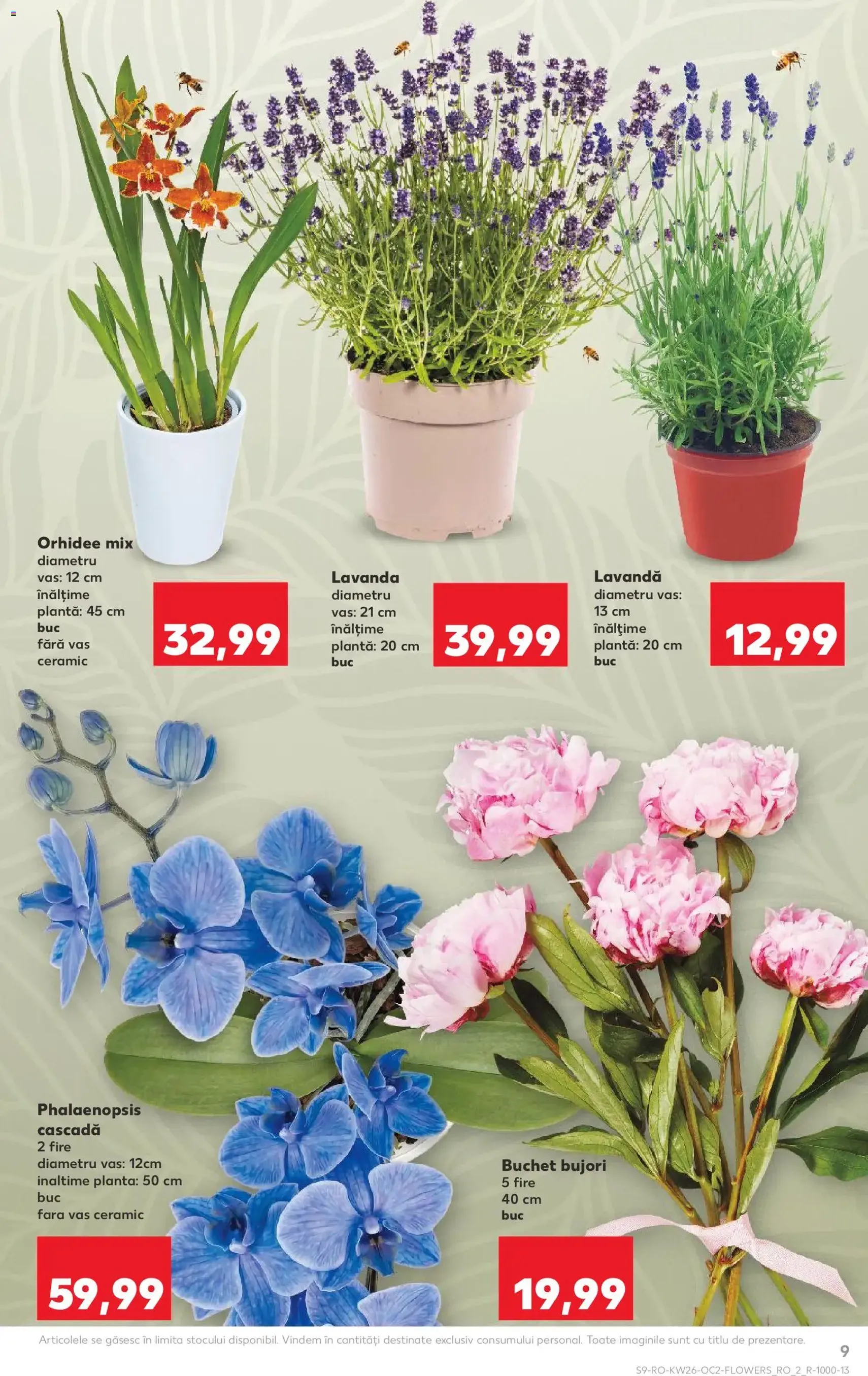 Kaufland Catalog - cataloage valabile începând cu 24.06.2026 pagina 9 din 60