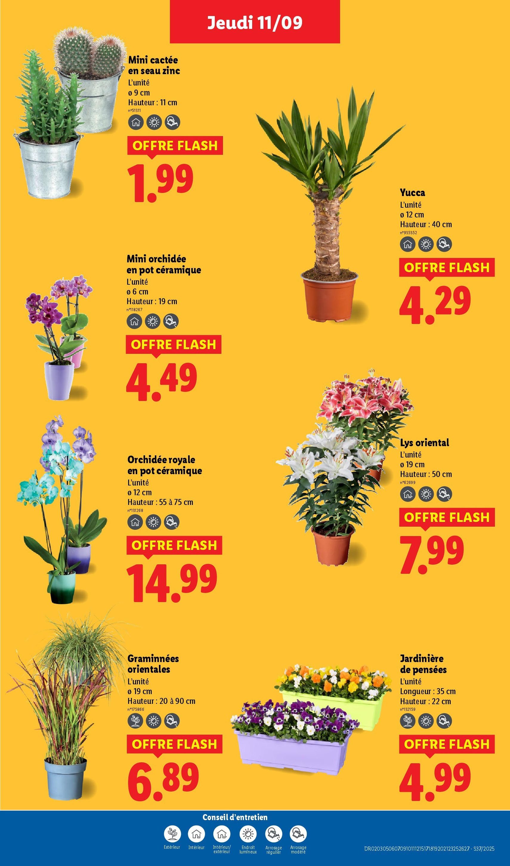 LIDL catalogue semaine 37 - brochure valable à partir du 11/09/2025, page 29 sur 76 LIDL catalogue semaine 37 - brochure valable à partir du 11/09/2025, page 29 sur 76