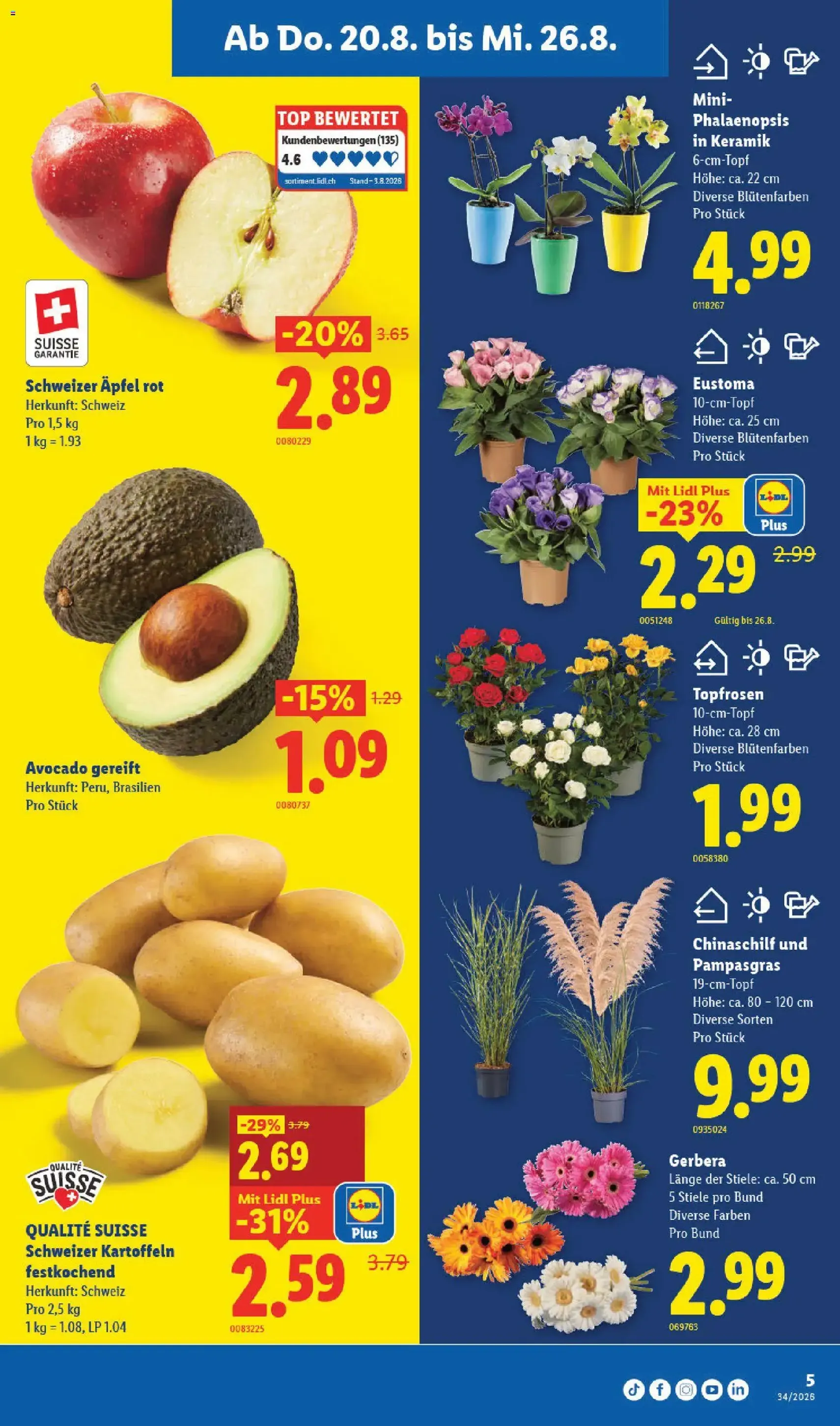 Lidl aktionen - Gültiger Prospekt ab 20.08.2026, Seite 9 von insgesamt 38