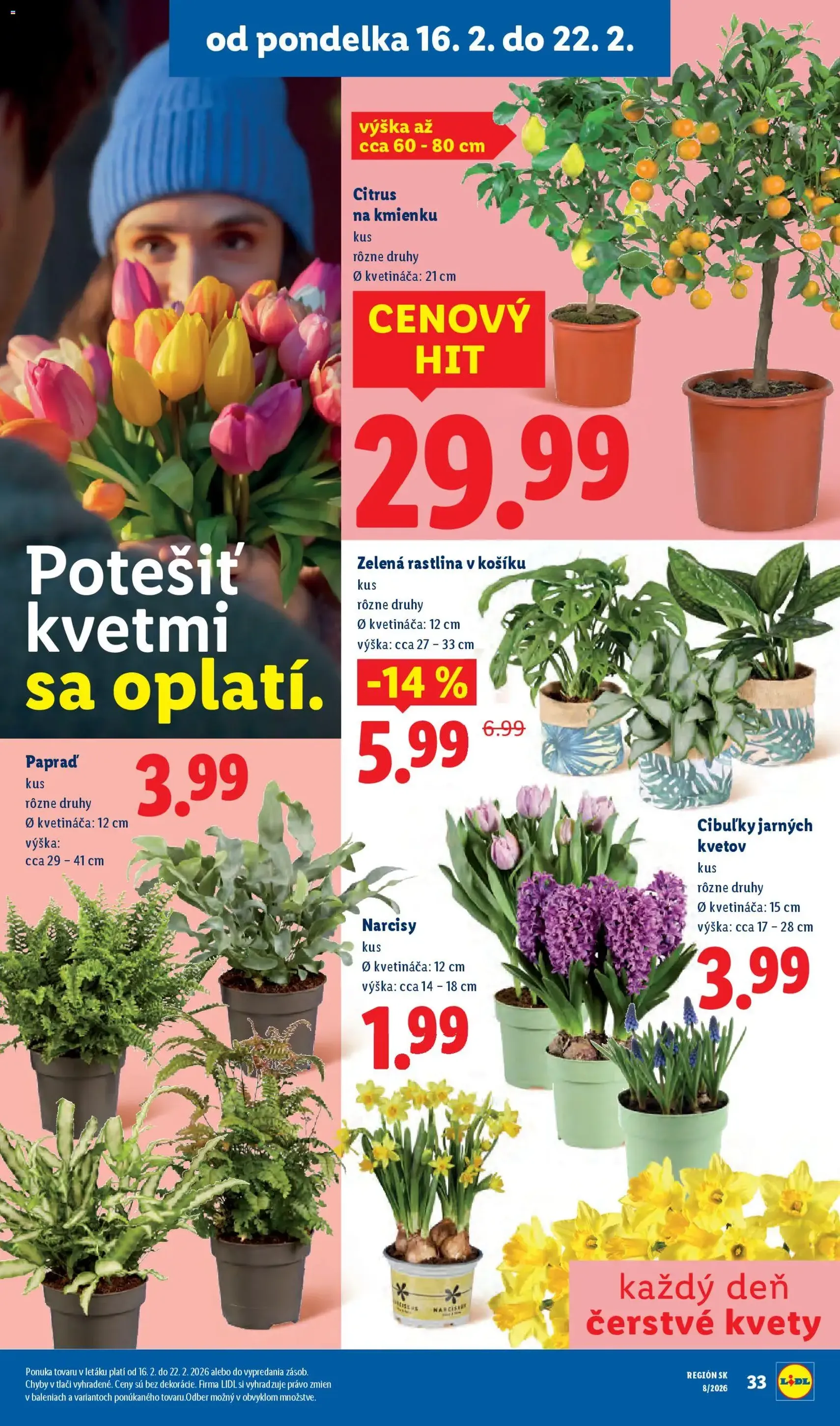 Lidl leták - platný leták od 16.02.2026 strana 35 z 95