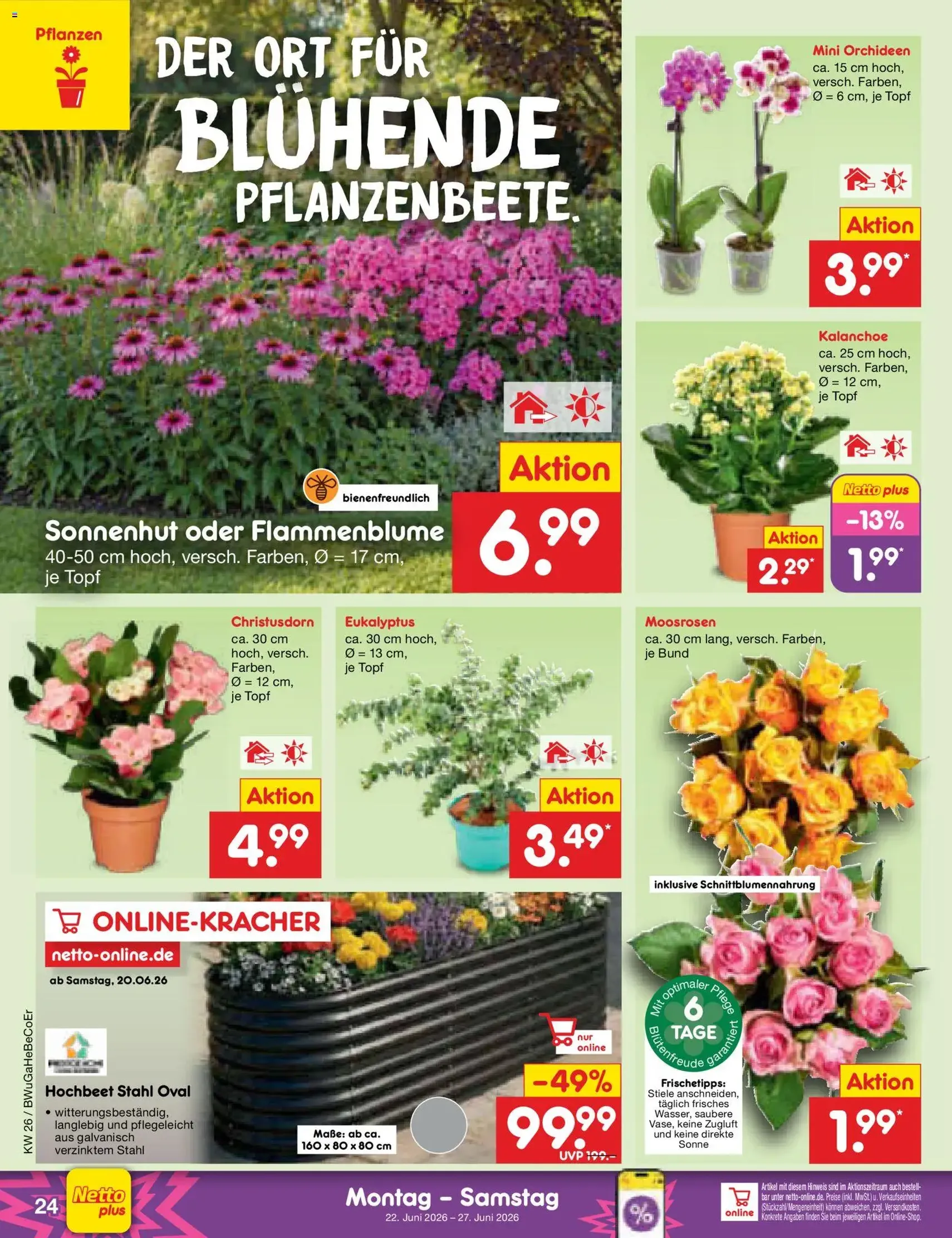 Netto Marken-Discount Prospekt - Gültiger Prospekt ab 22.06.2026, Seite 34 von insgesamt 62