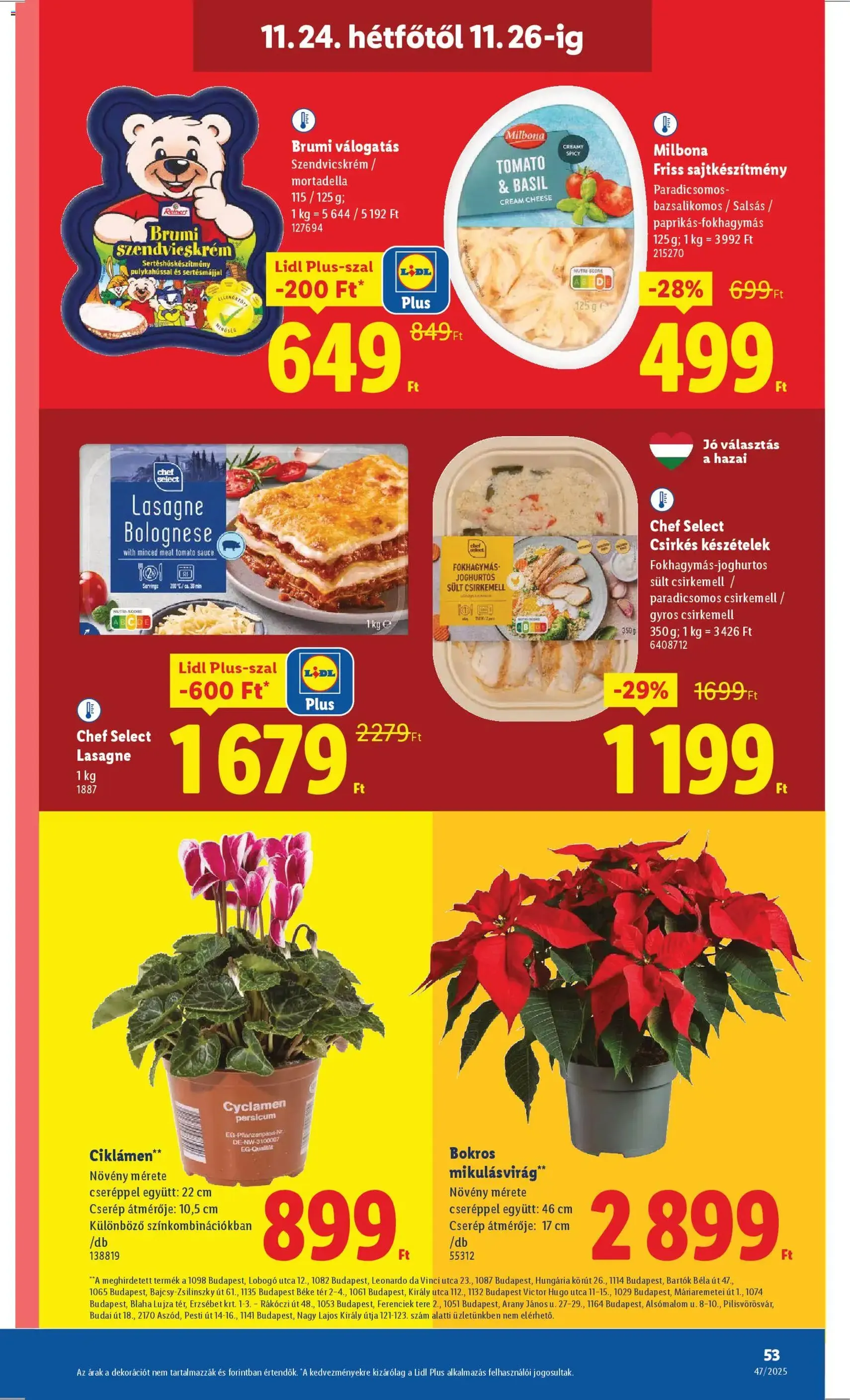 Lidl Black Friday - 2025.11.20. érvényes szórólap 53 oldal 66 oldalból