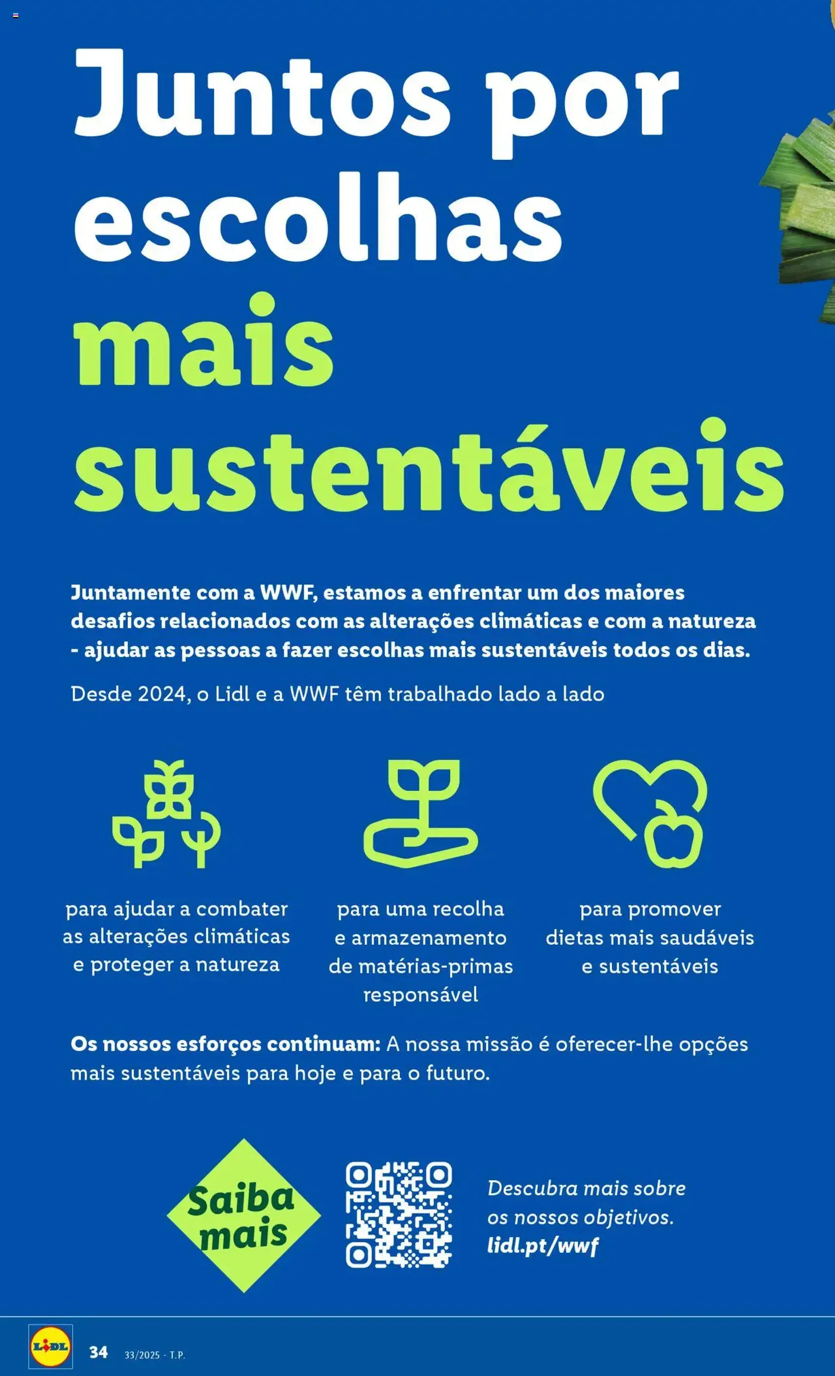 Lidl folheto - folheto válido a partir de 11/08/2025 página 34 de 44 Lidl folheto - folheto válido a partir de 11/08/2025 página 34 de 44