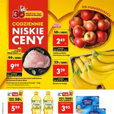 Biedronka gazetka - podgląd gazetki ważnej od 10.11.2025