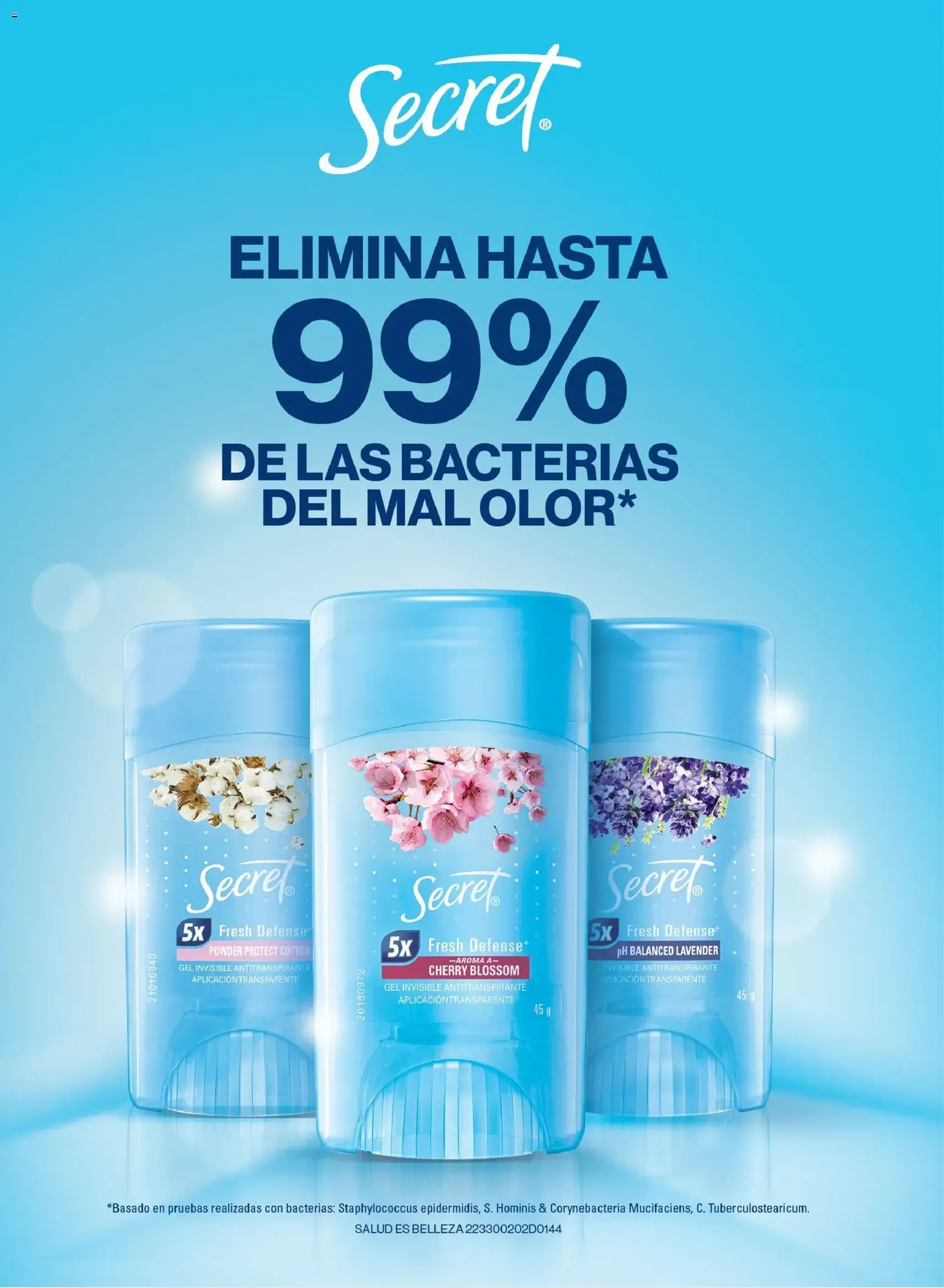 Chedraui folleto Vive Bella - folleto válido desde 24/10/2025 página 2 de 92