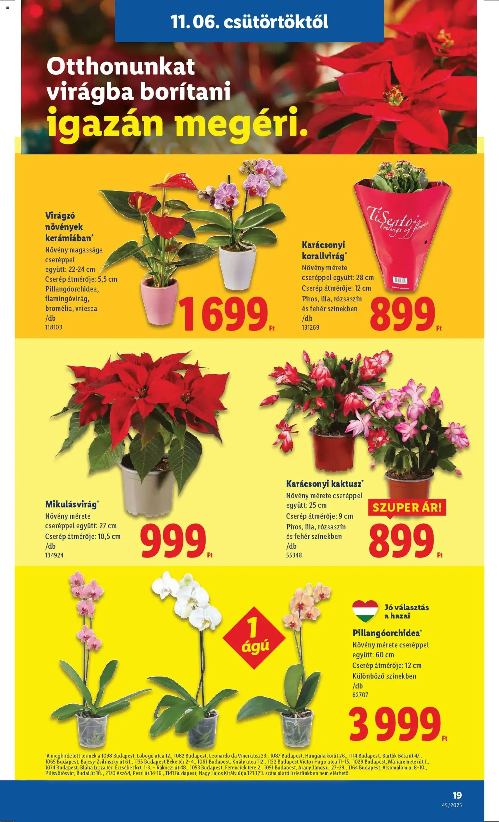 Lidl Akciós újság - 2025.11.06. érvényes szórólap 19 oldal 52 oldalból